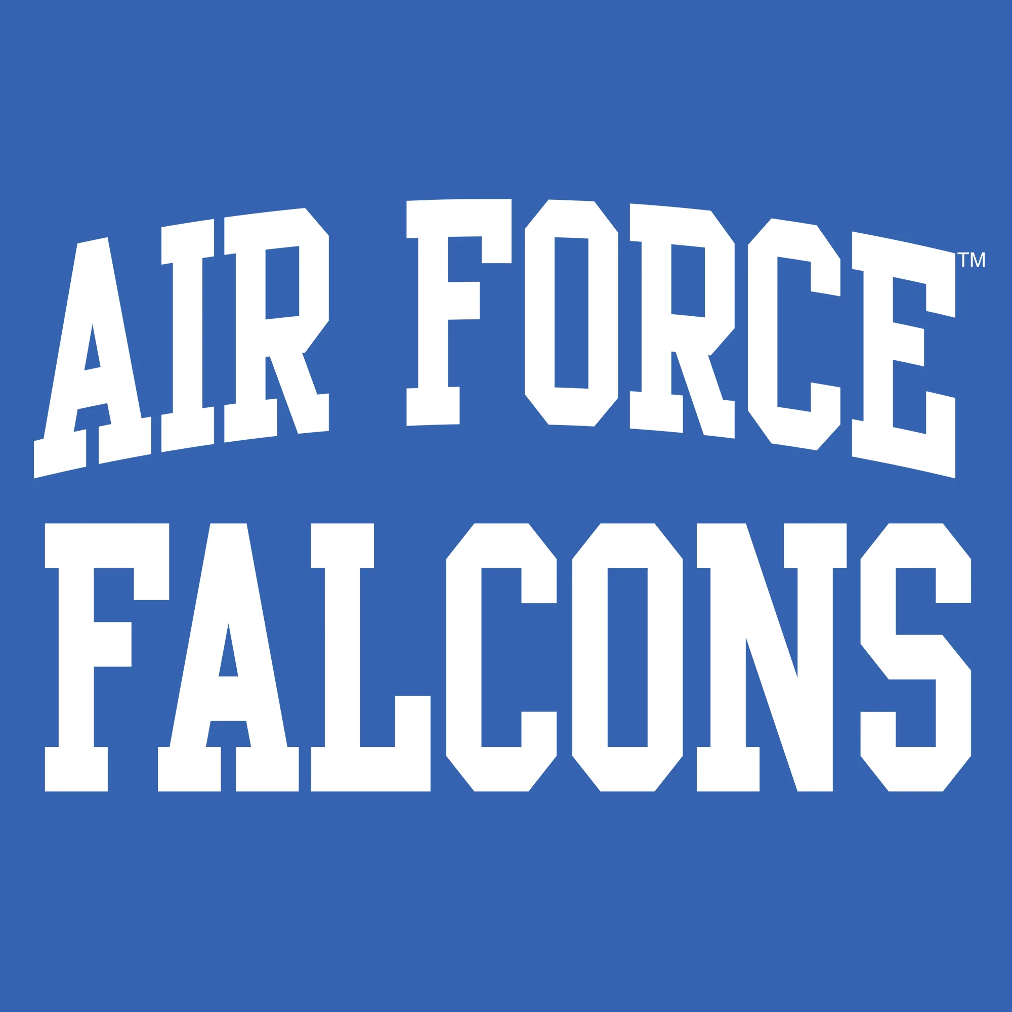 Air Force Academy Falcons Front Back Hoodie - Royal - Image 2