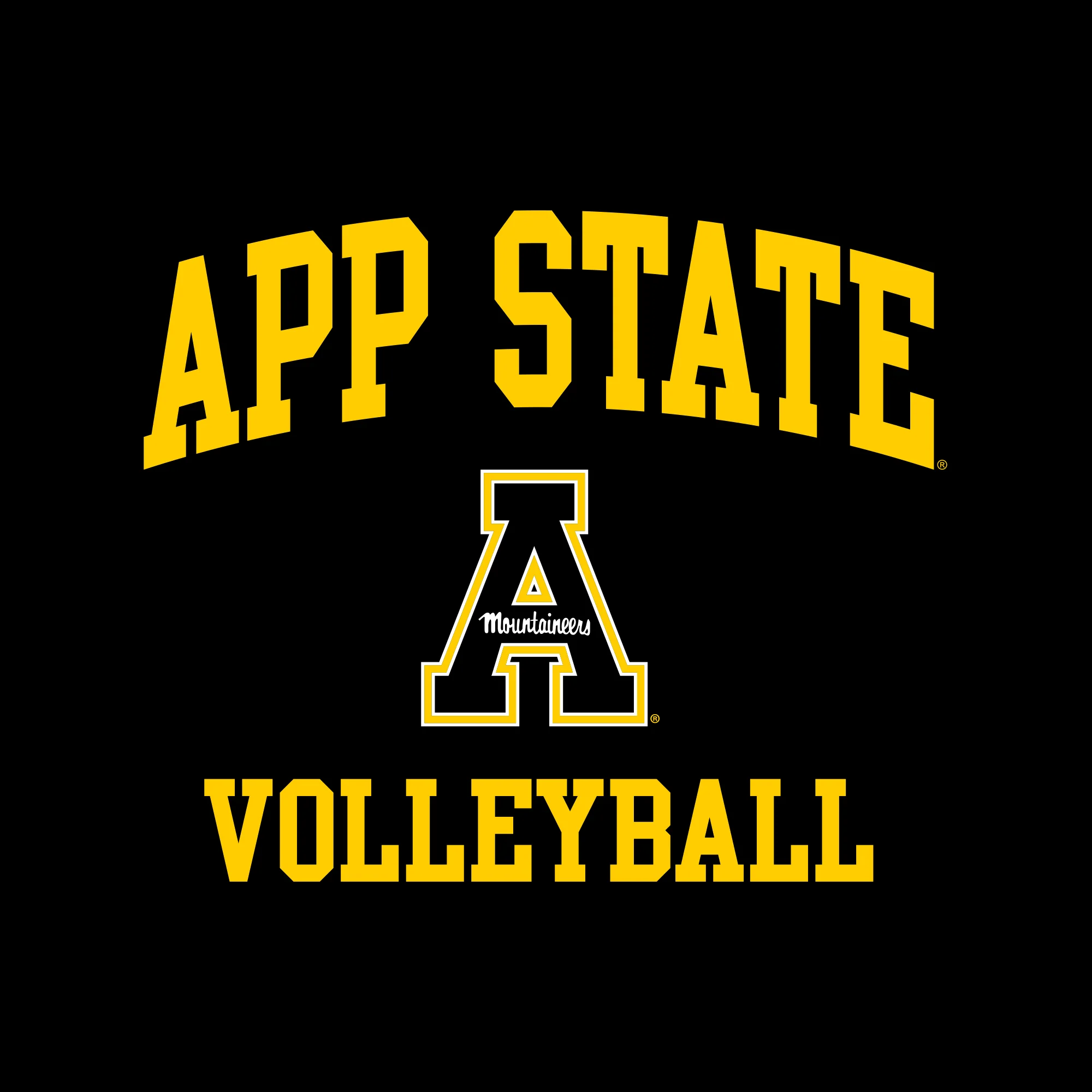 App State Arch Logo Volleyball Hoodie - Black - Image 2