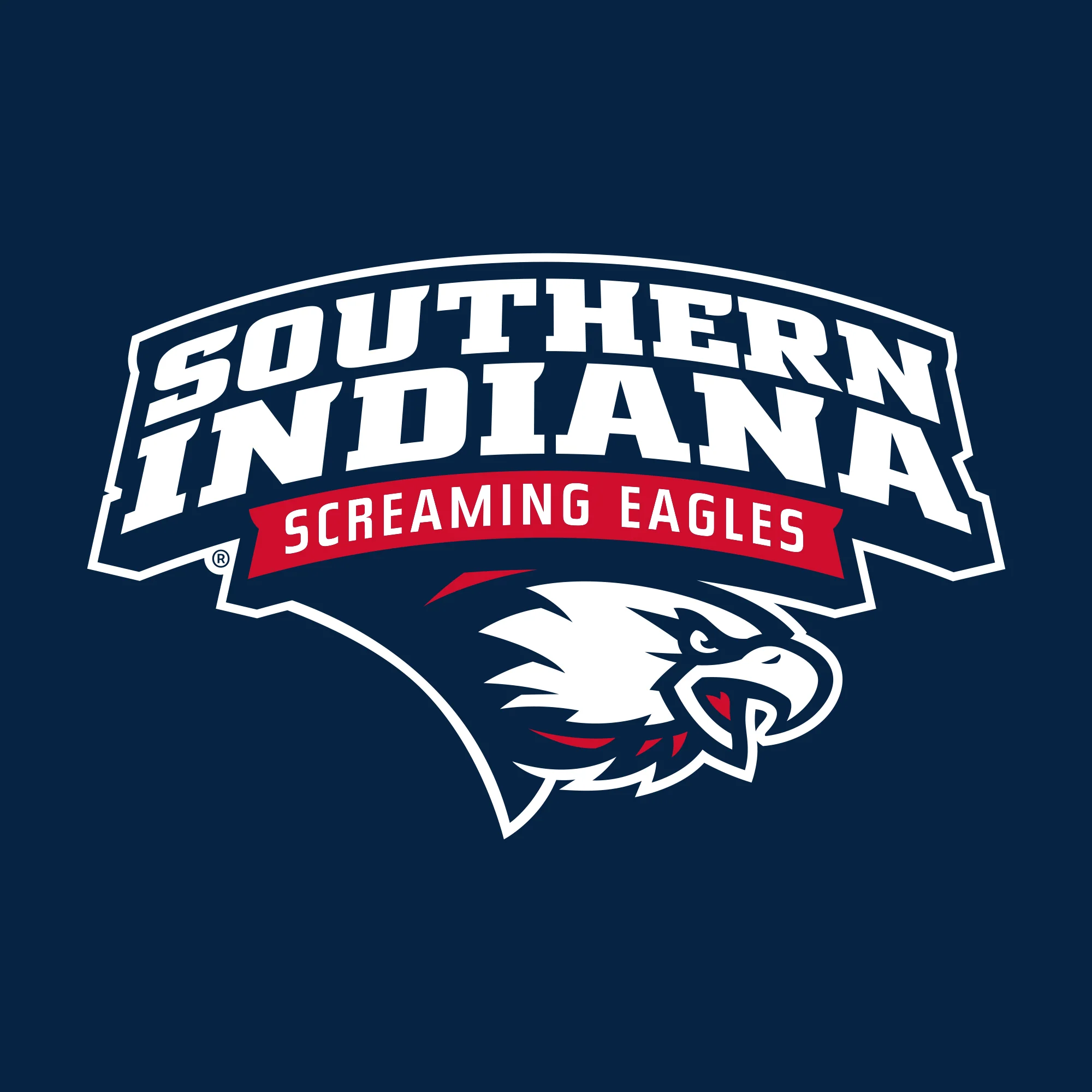 University of Southern Indiana Screaming Eagles Arch Logo Basic Cotton Long Sleeve T Shirt - Navy - Image 2
