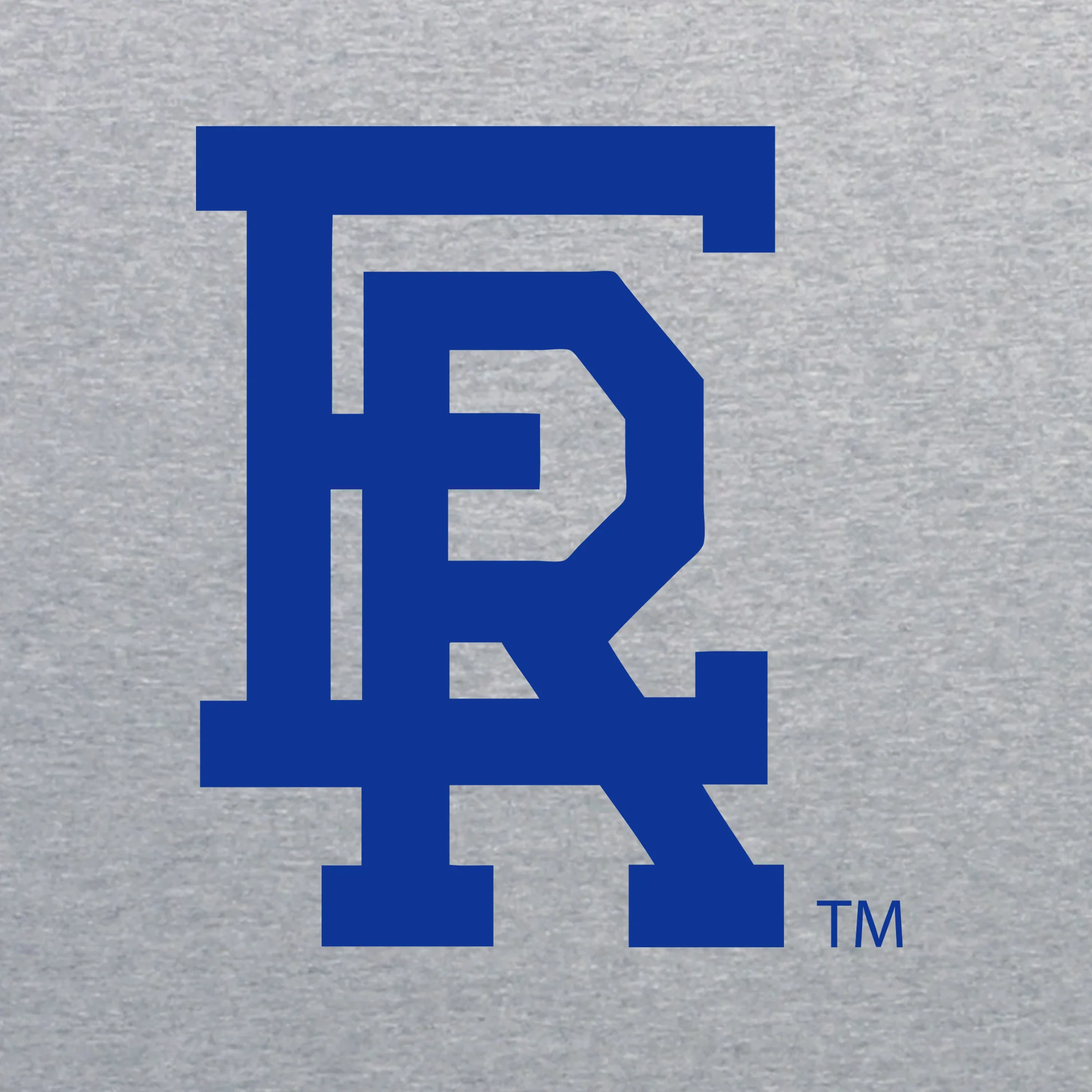 Embry-Riddle Aeronautical University Eagles Daytona Primary Logo T Shirt - Sport Grey - Image 2