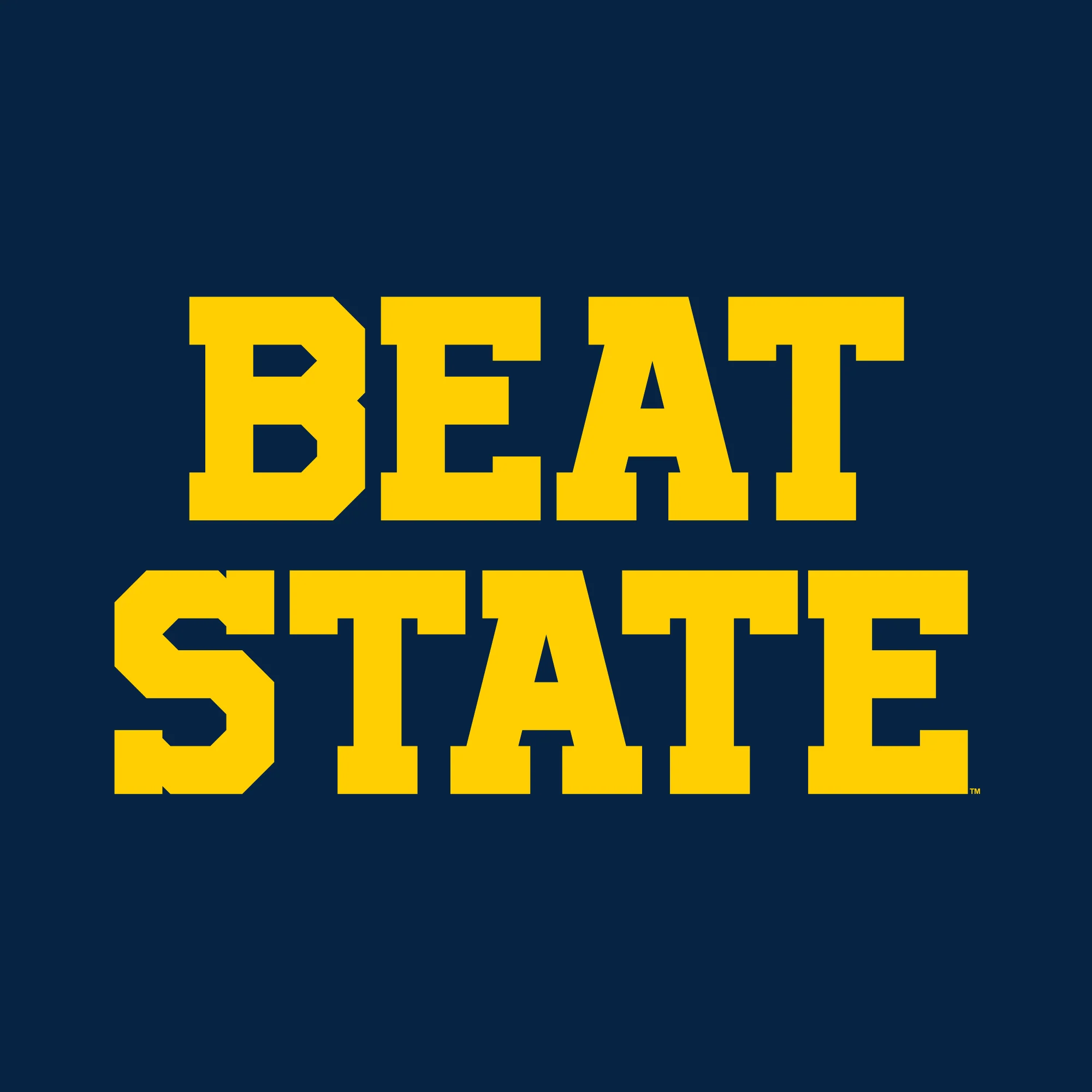 Beat State Triblend T-Shirt - Solid Navy - Image 2