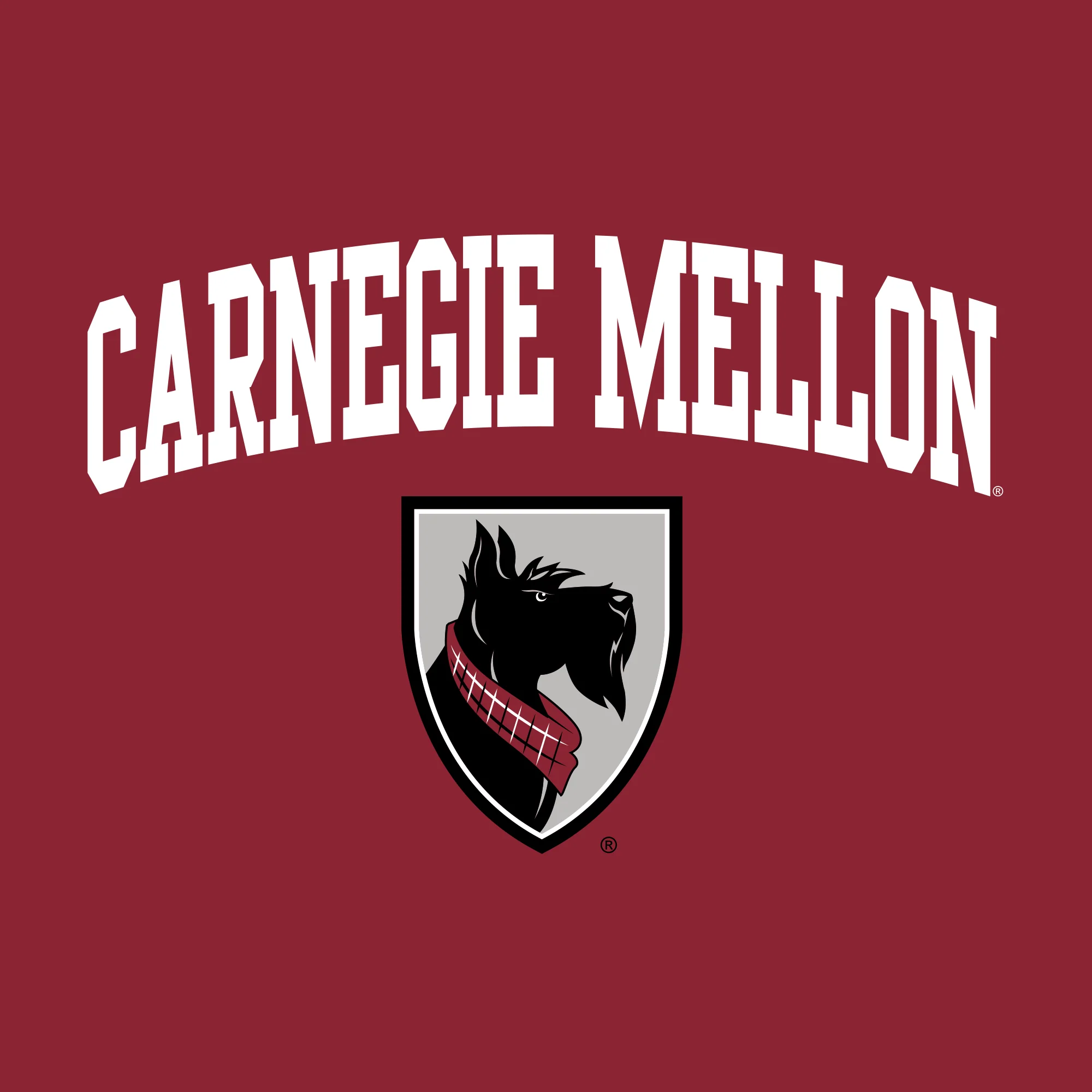 Carnegie Mellon Tartans Arch Logo Youth T Shirt - Cardinal - Image 2