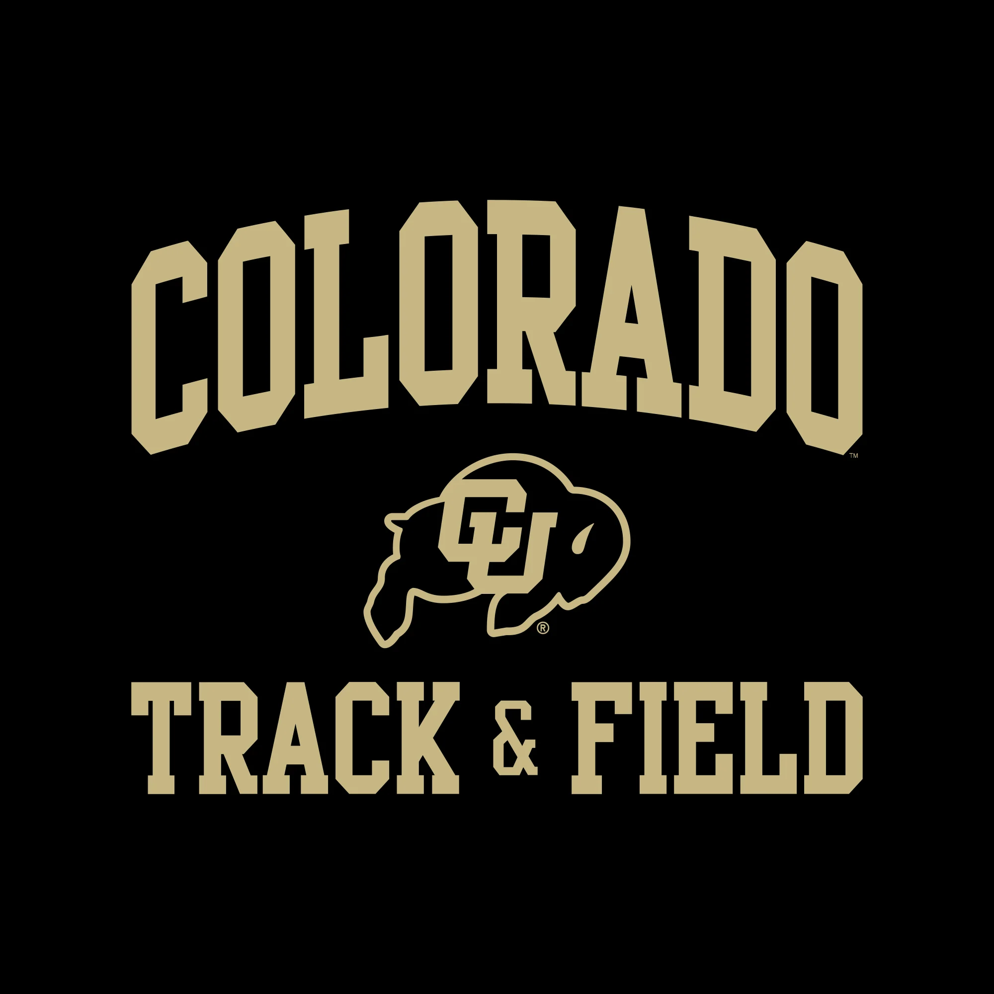 Colorado Arch Logo Track & Field Hoodie - Black - Image 2