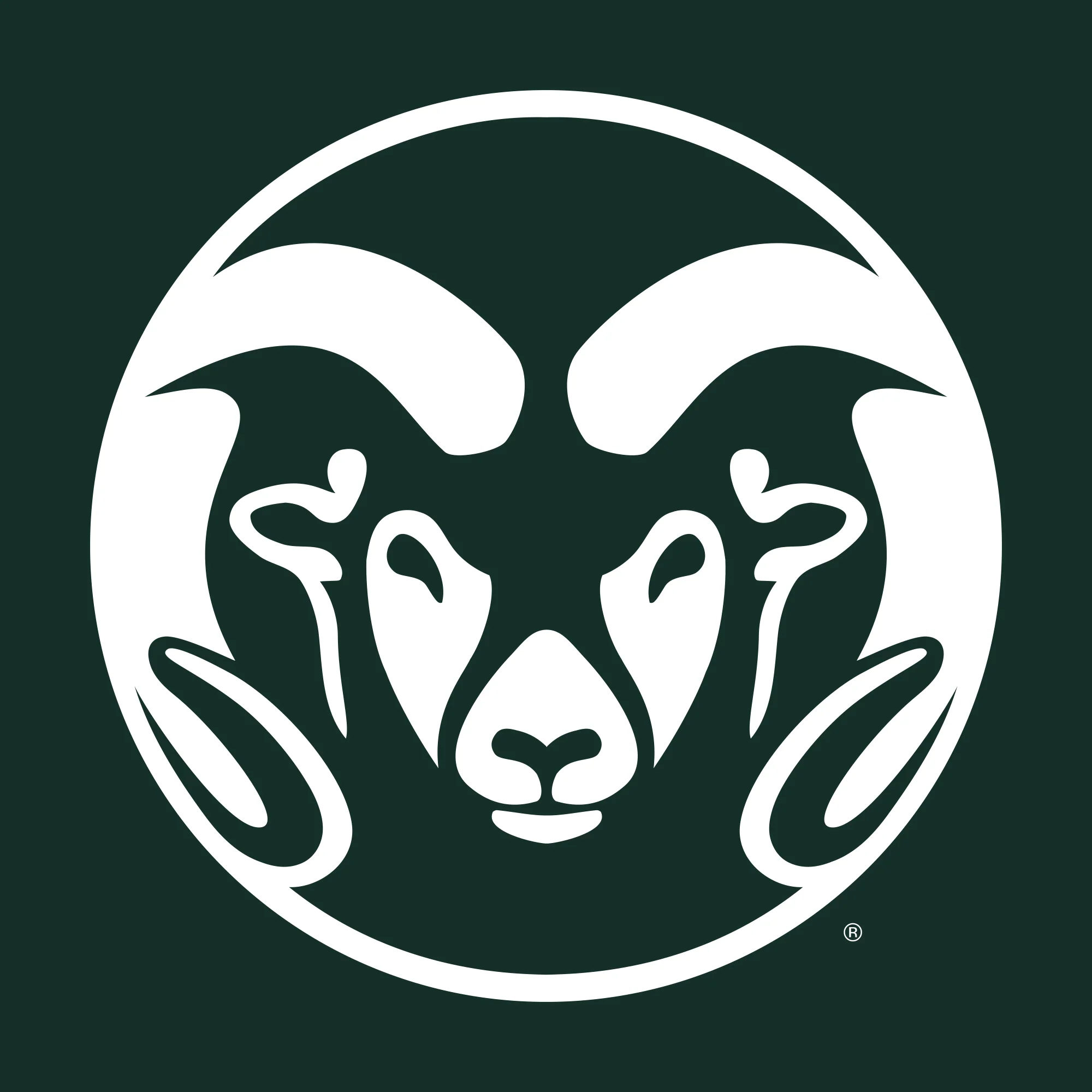 Colorado State Front Back Print T-Shirt - Forest - Image 4