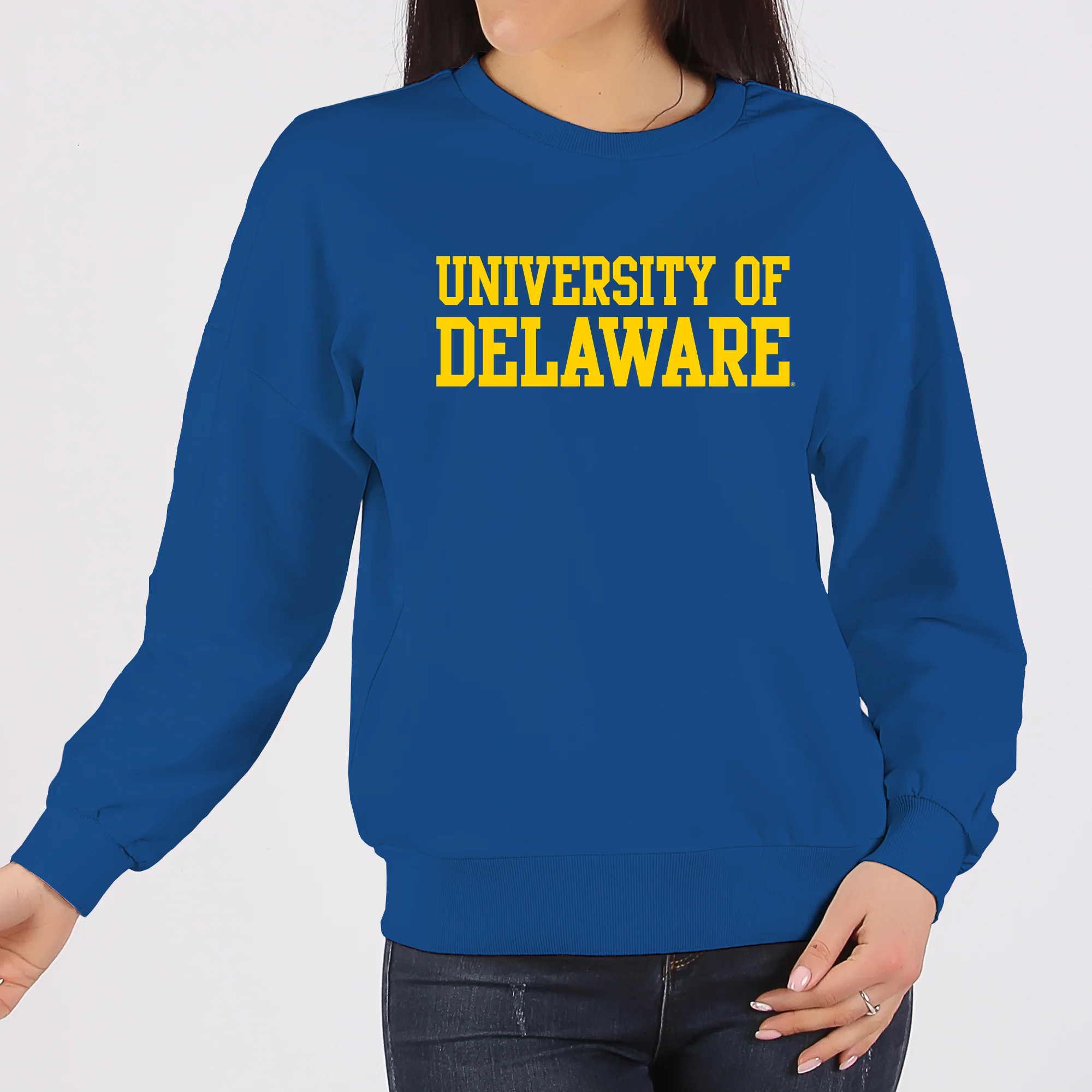 Delaware Blue Hens Basic Block Crewneck Sweatshirt - Royal - Image 4