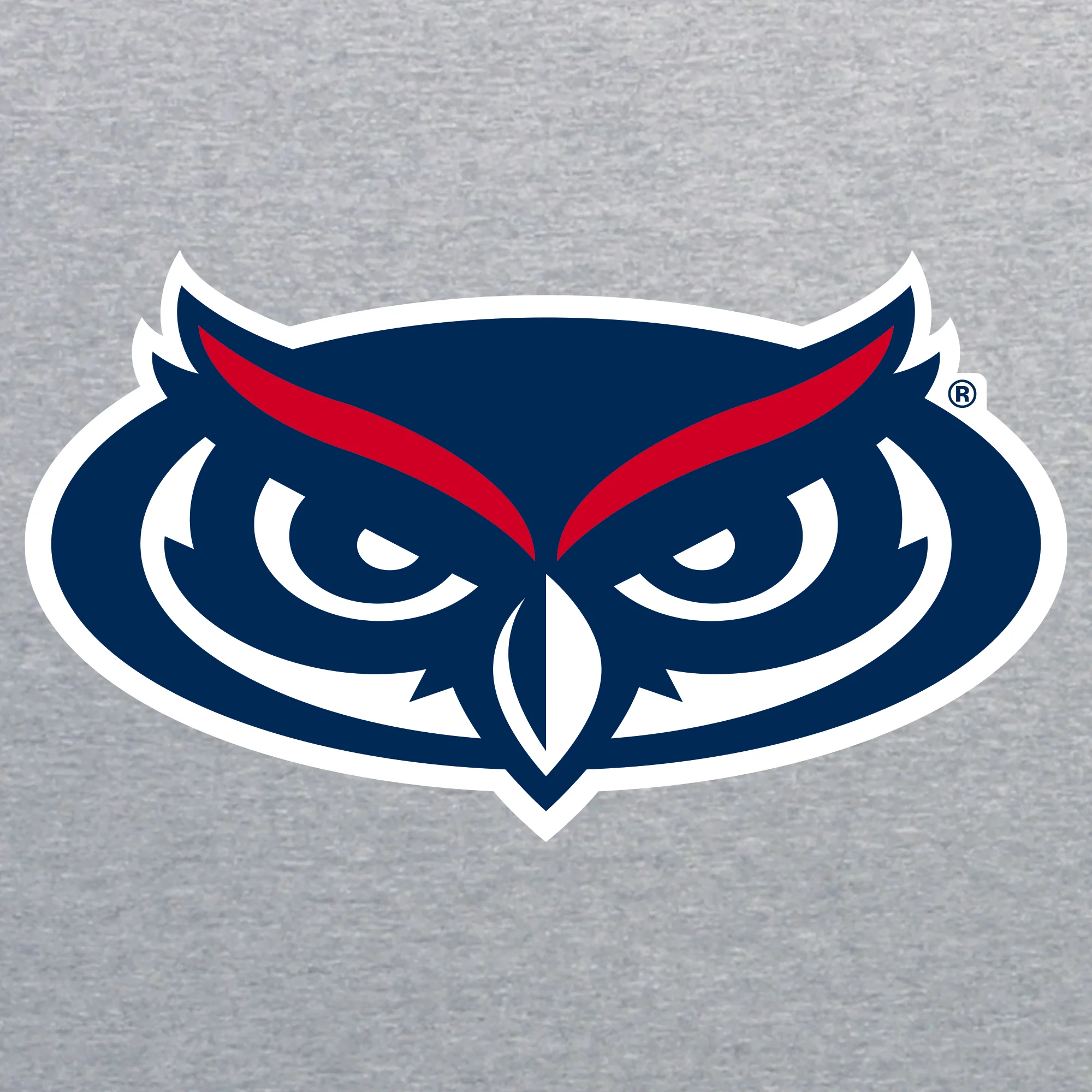 Florida Atlantic Owls Primary Logo Youth T Shirt - Sport Grey - Image 2