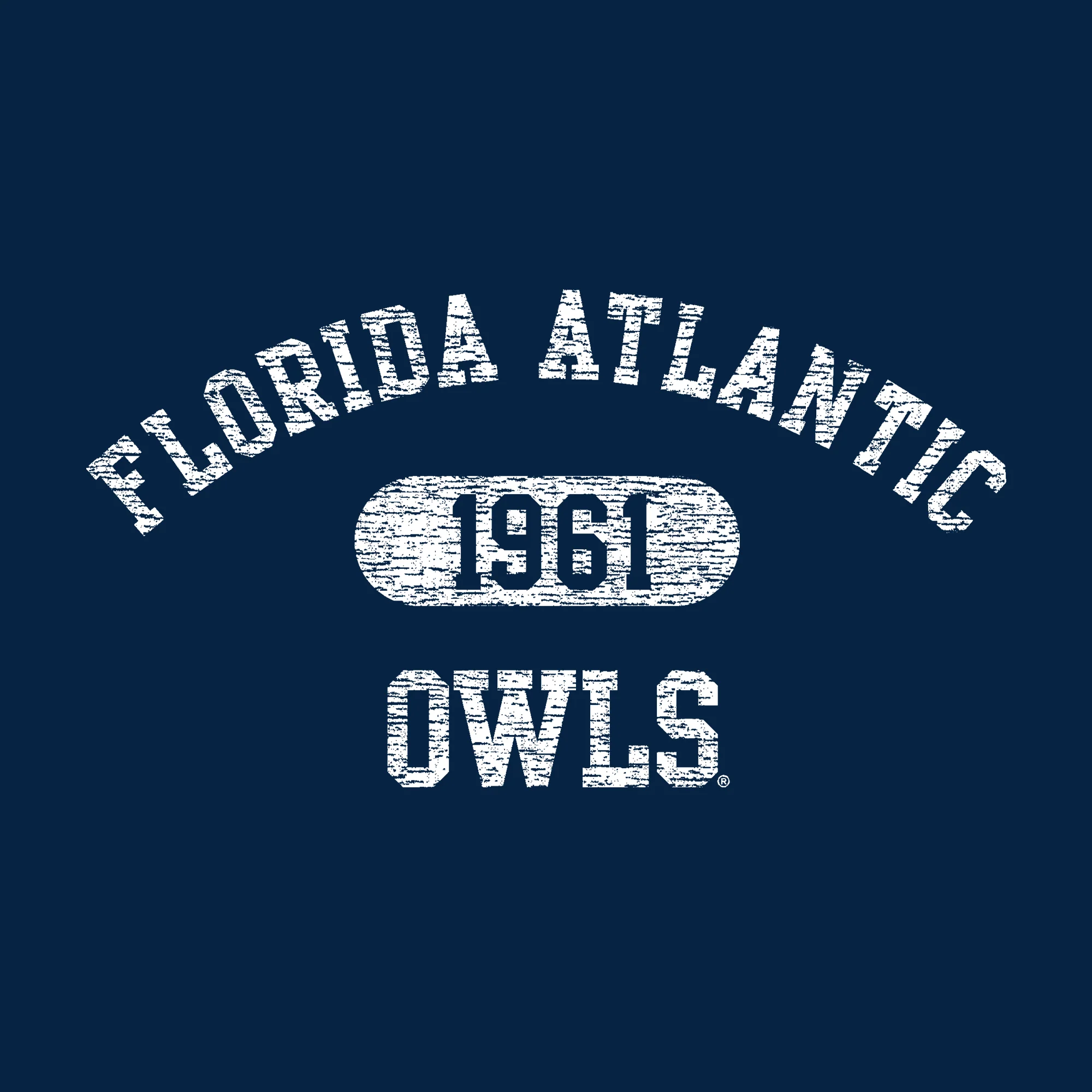 Florida Atlantic University Owls Athletic Arch Heavy Blend Hoodie - Navy - Image 2