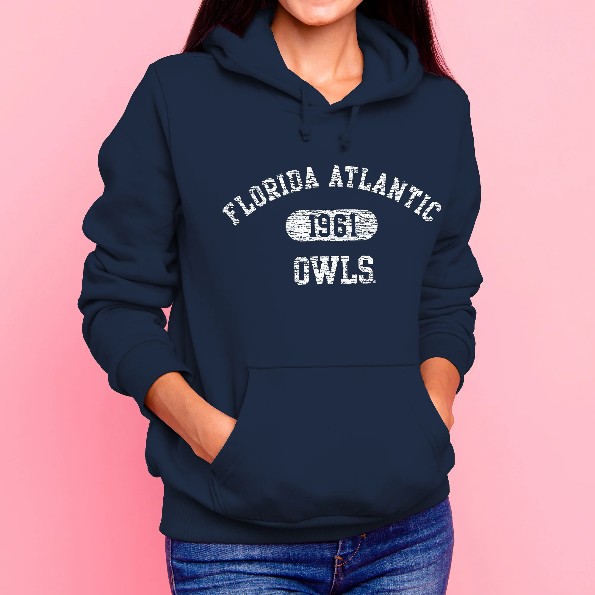 Florida Atlantic University Owls Athletic Arch Heavy Blend Hoodie - Navy - Image 4