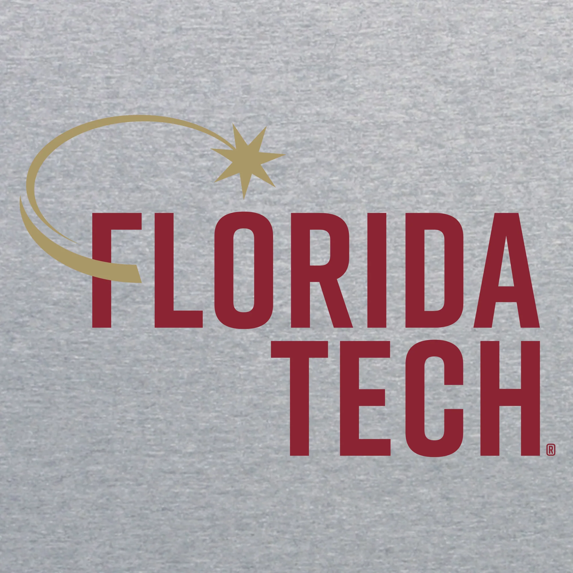 Florida Institute of Technology Panthers Institutional Logo Short Sleeve T Shirt - Sport Grey - Image 2