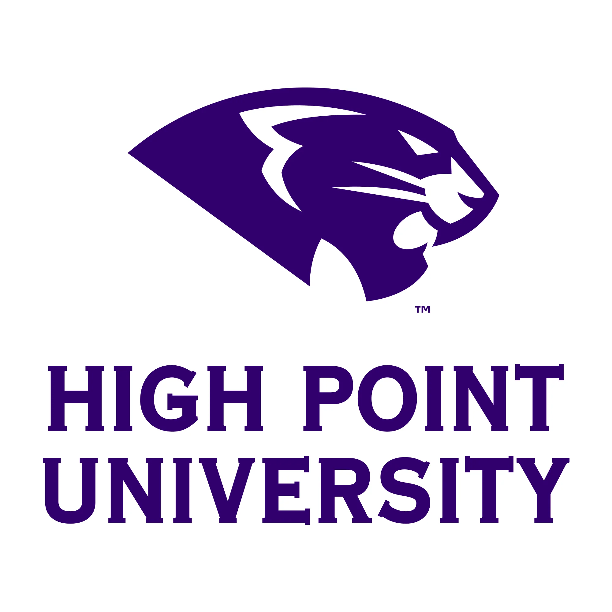 High Point University Panthers Primary Logo Short Sleeve Youth T Shirt - White - Image 2