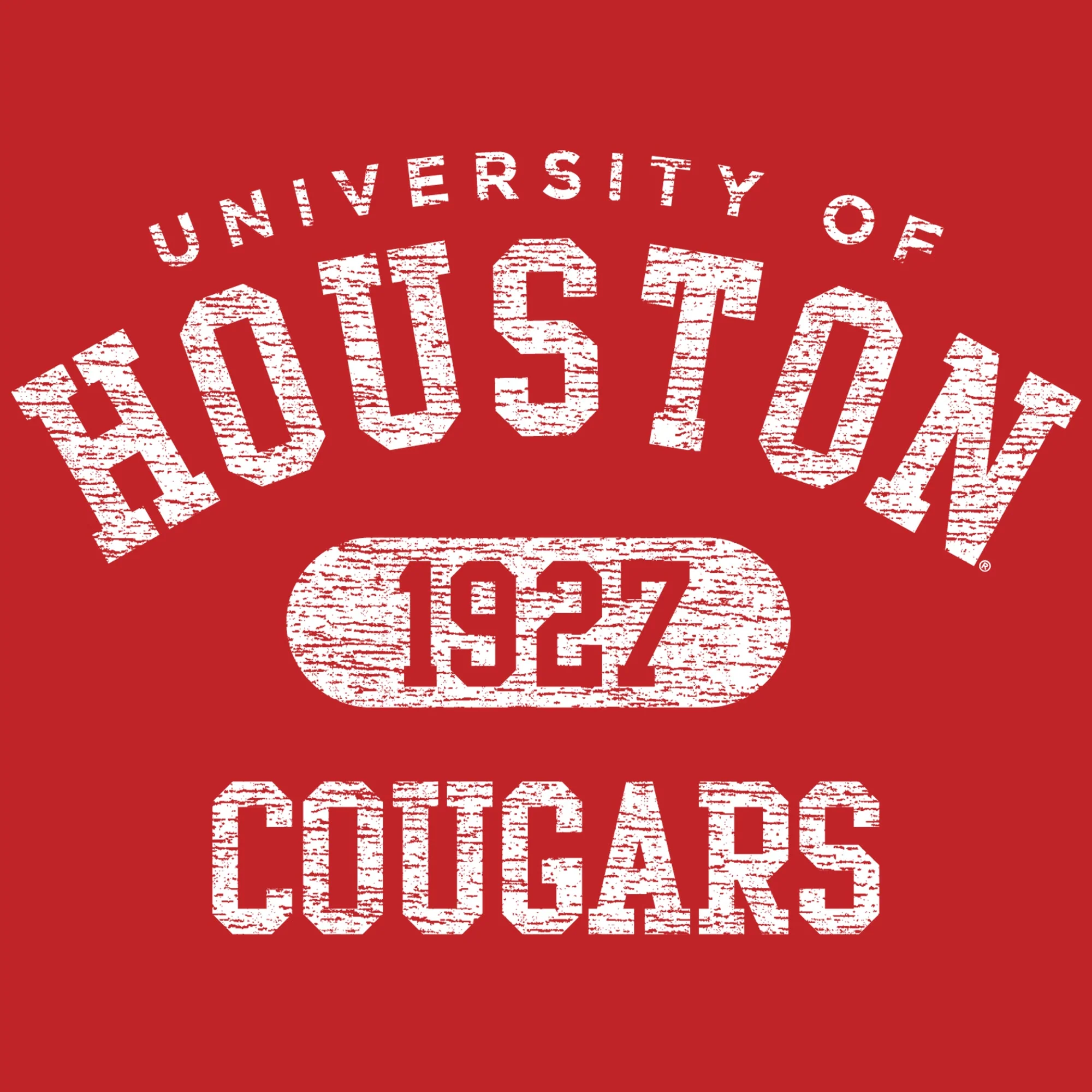 University of Houston Cougars Athletic Arch Heavy Blend Hoodie - Red - Image 2