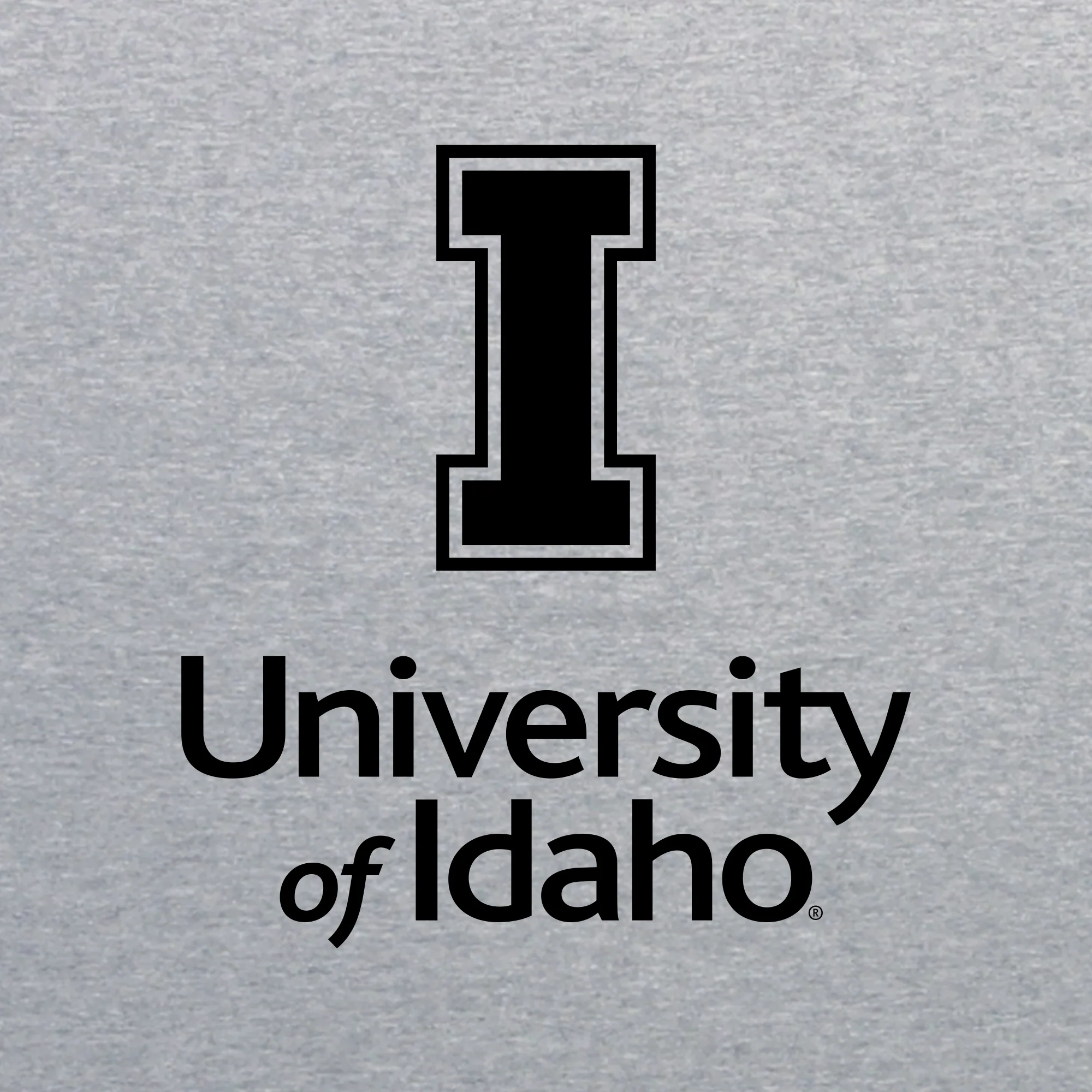 Idaho Vandals Institutional Logo T Shirt - Sport Grey - Image 2