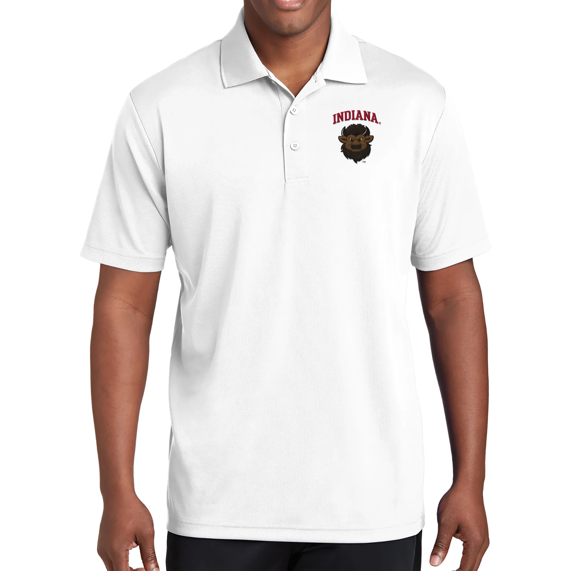 Indiana Bison Head LC EMB Polo - Image 6