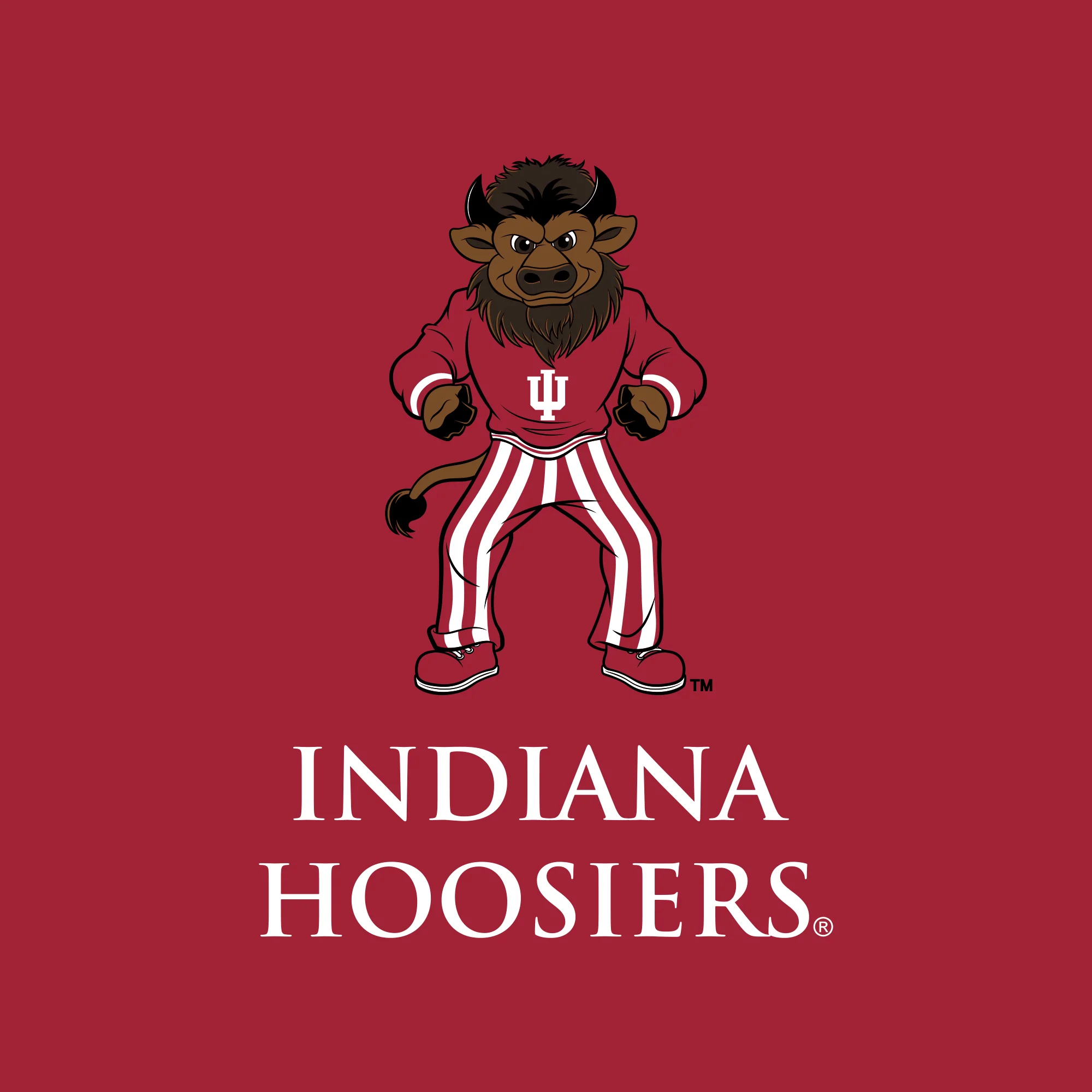 Indiana Classic Circle Bison Crewneck - Cardinal - Image 2
