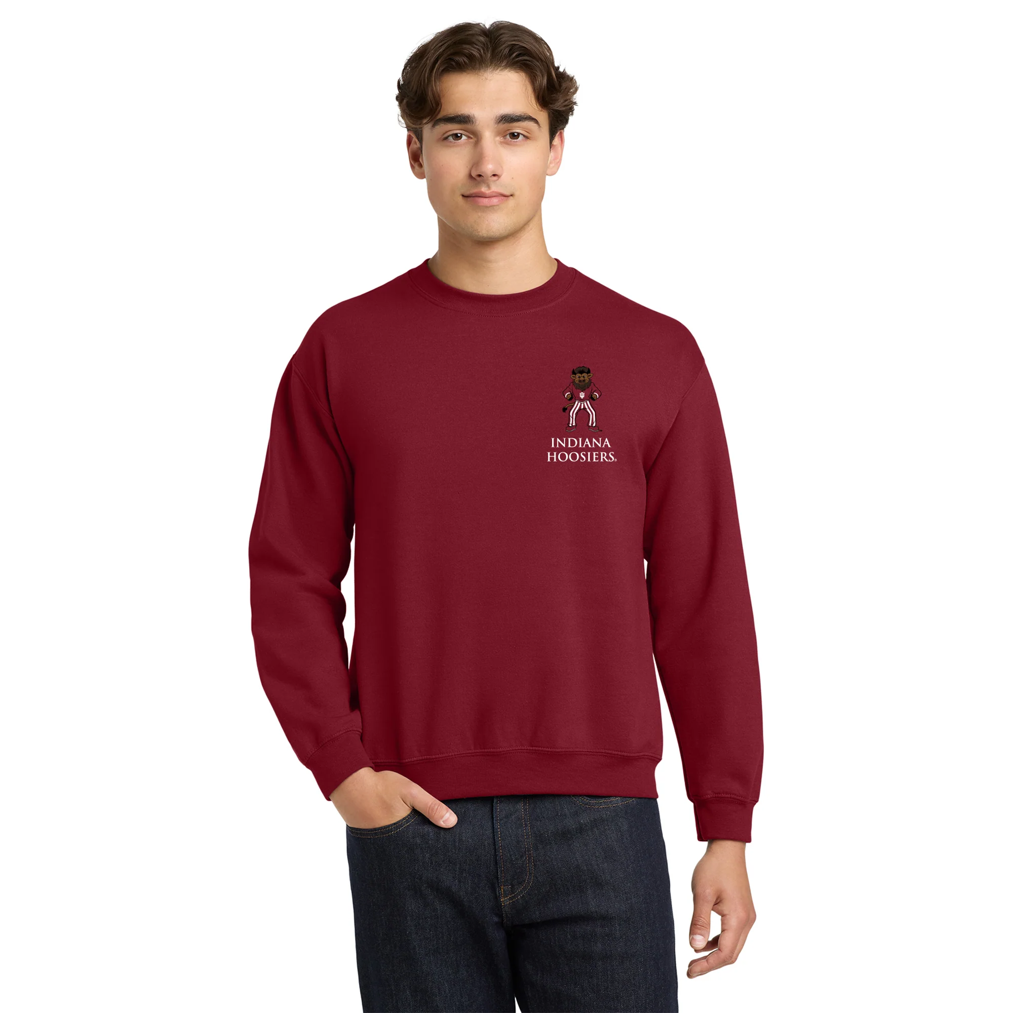 Indiana Classic Circle Bison Crewneck - Cardinal - Image 3