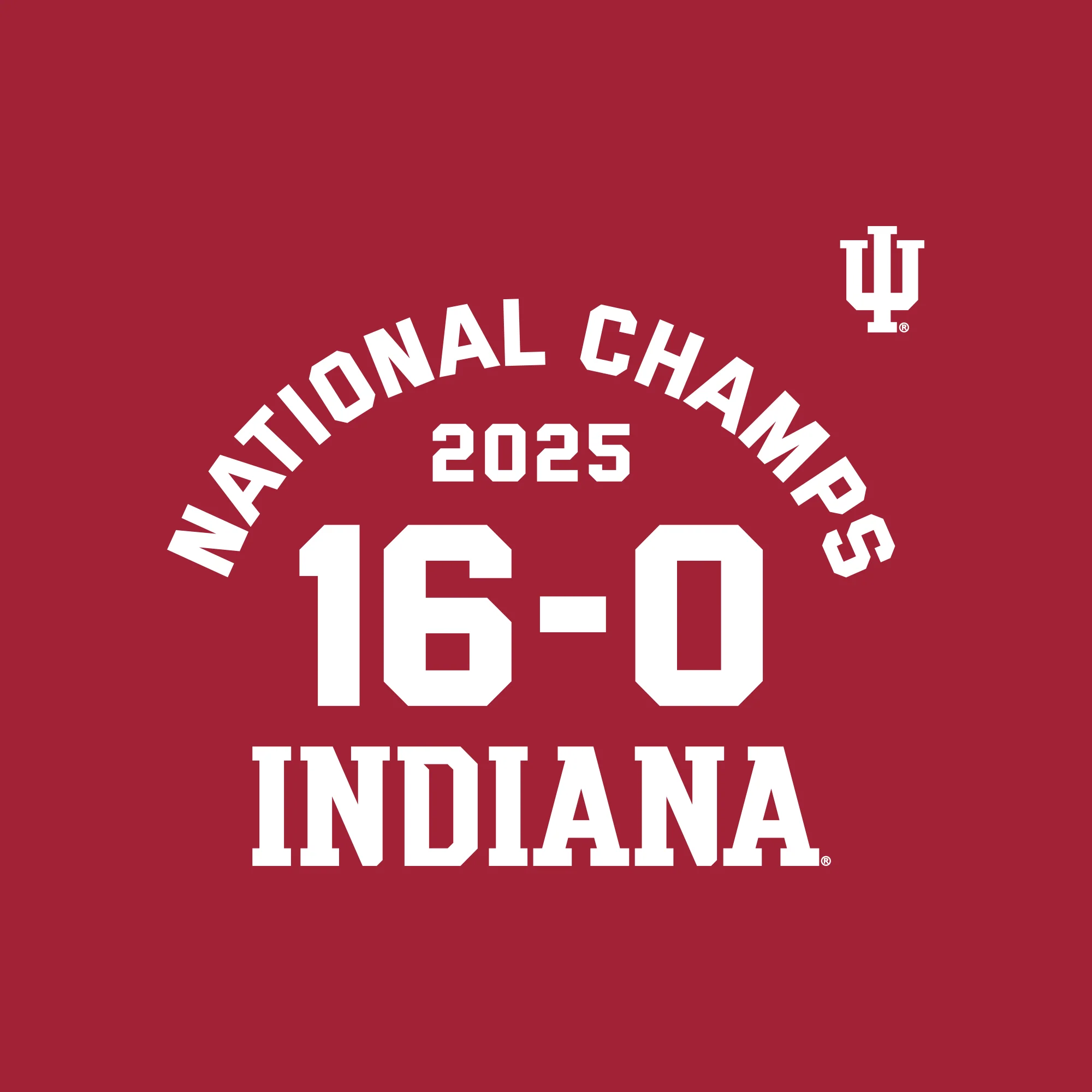 Indiana National Champions 2025 16-0 Hoodie - Image 3