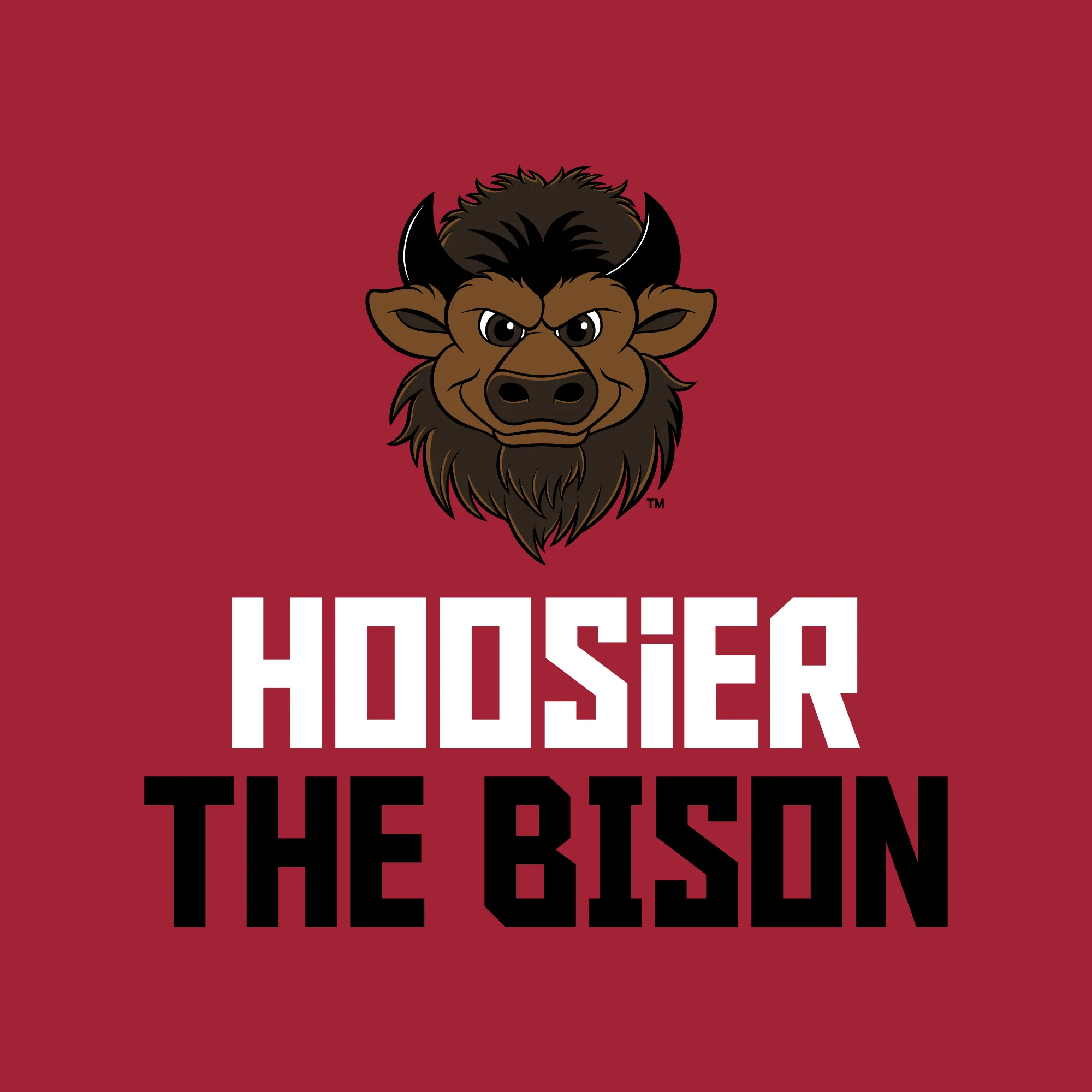 Indiana Squared Off Bison Hoodie - Cardinal - Image 2