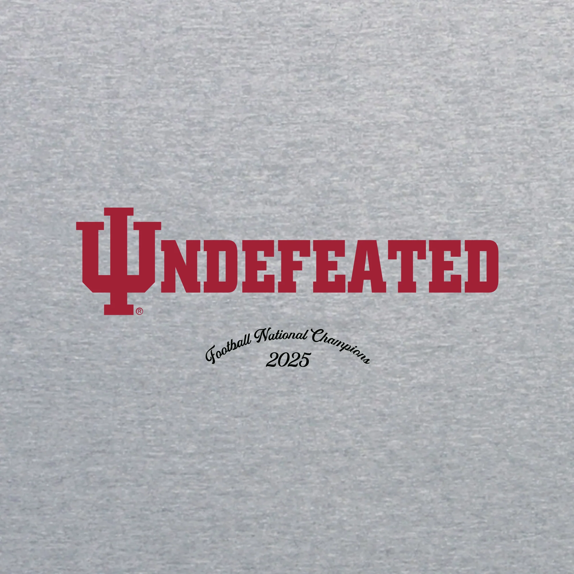 Indiana Trident Undefeated National Champions 2025 JA BTB Hoodie - Oxford - Image 2