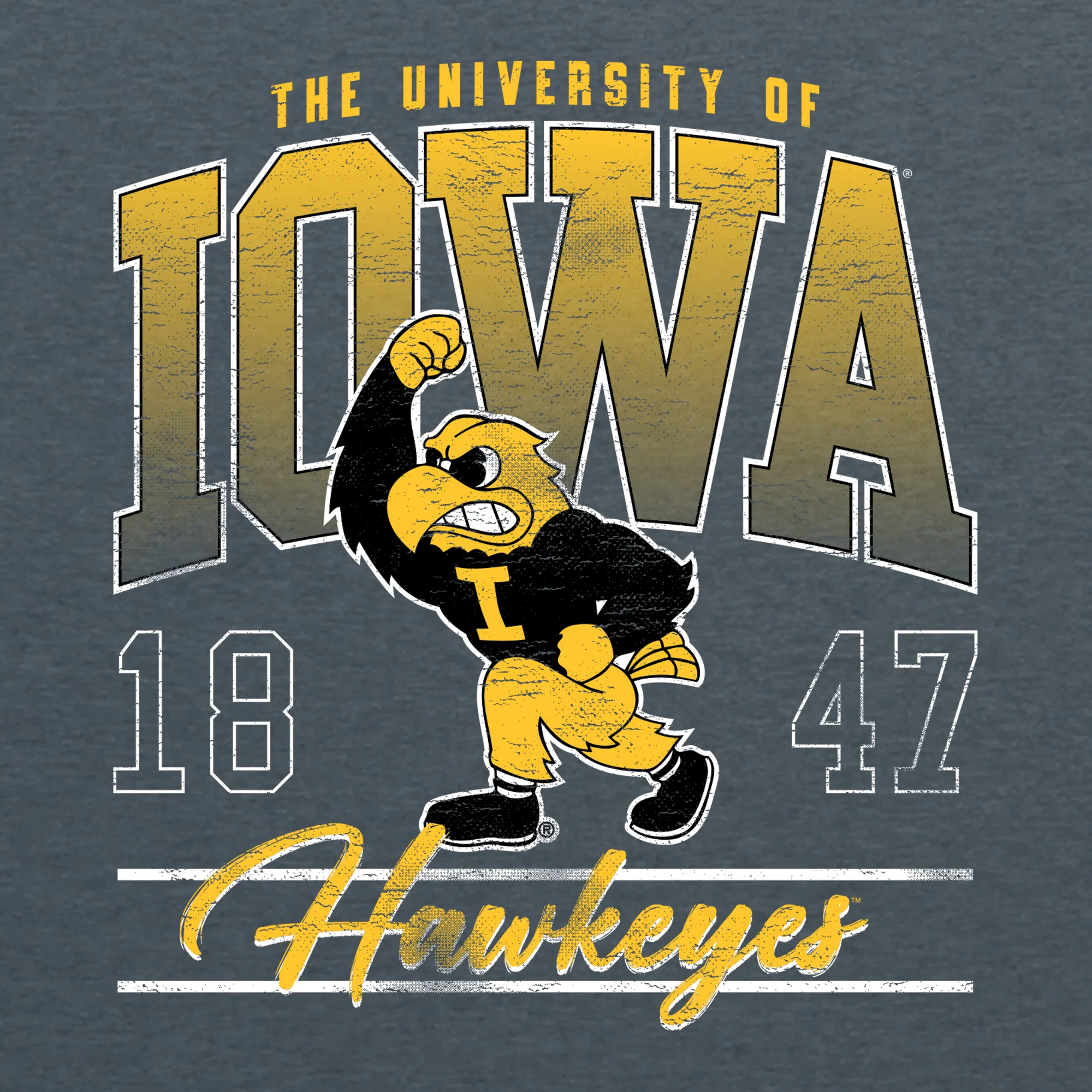 Iowa Colossal T-Shirt - Dark Heather - Image 2