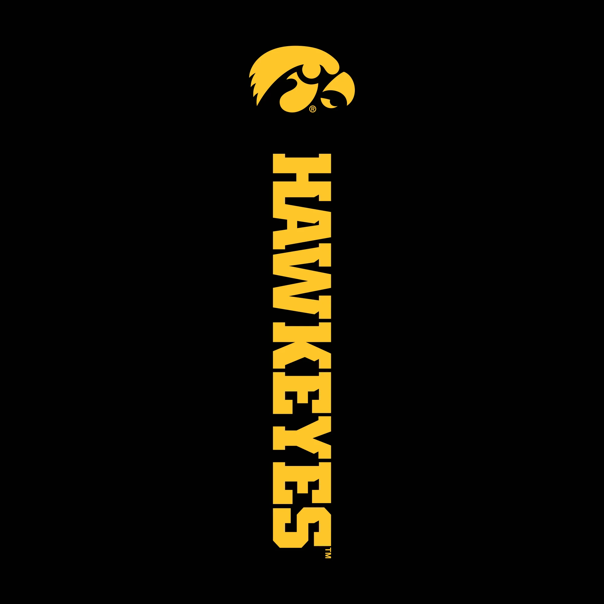 Iowa Logo Block JA BTB Sweatpants - Image 3