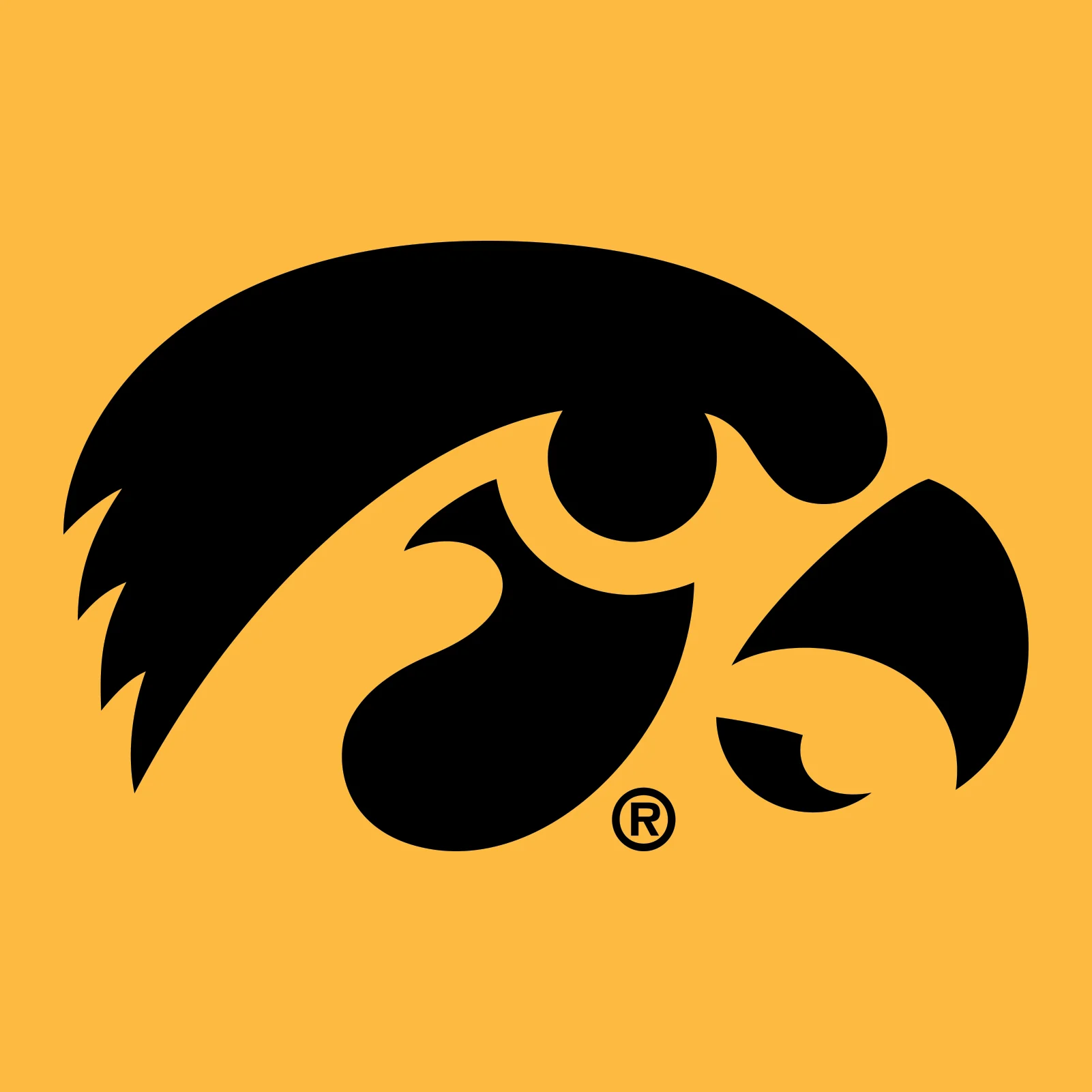 Primary Logo Iowa Hawkeyes Rabbit Skins Infant Creeper - Gold - Image 2