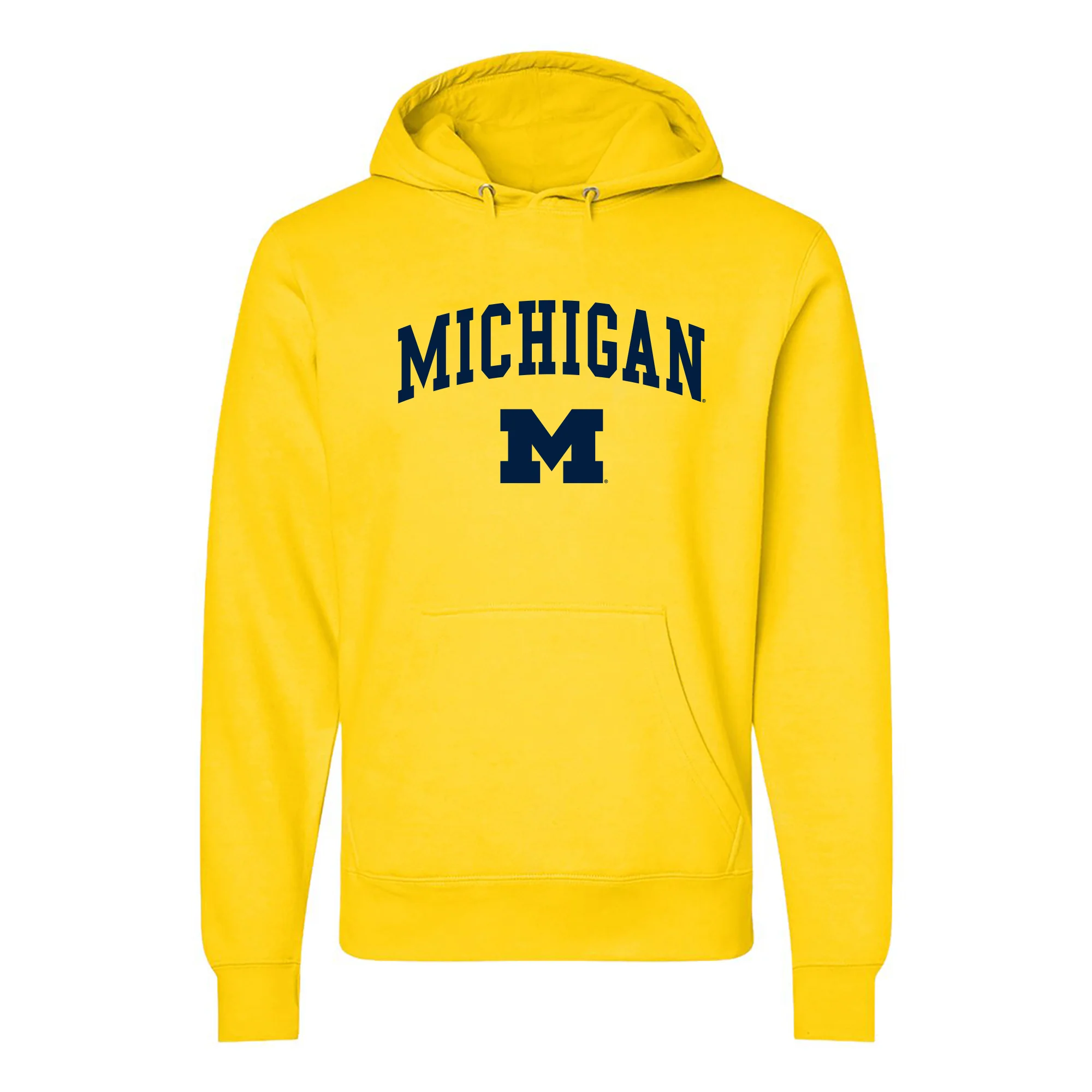 Michigan Arch Logo Hoodie - Image 2