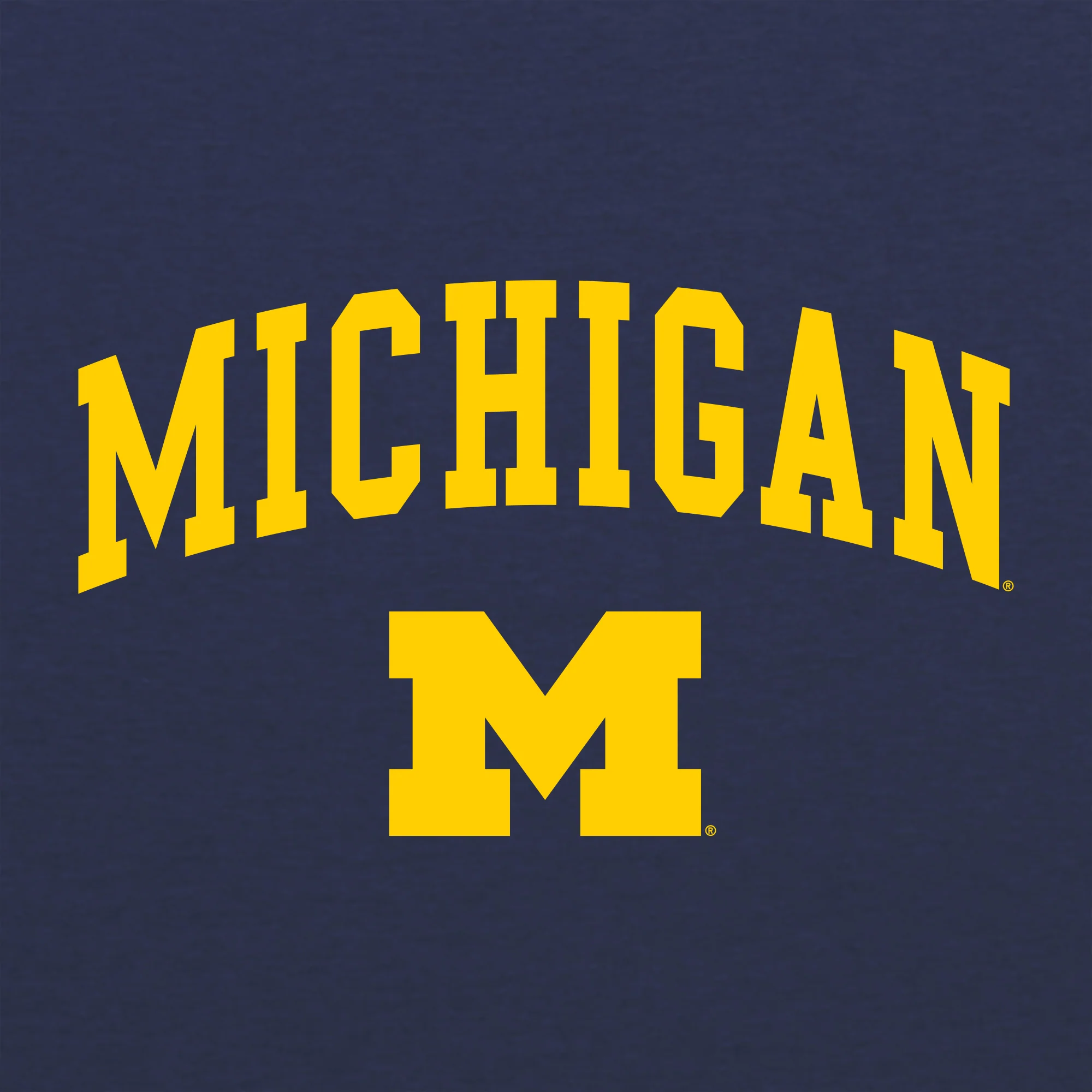 Michigan Arch Logo NLA Triblend T-Shirt - Image 3