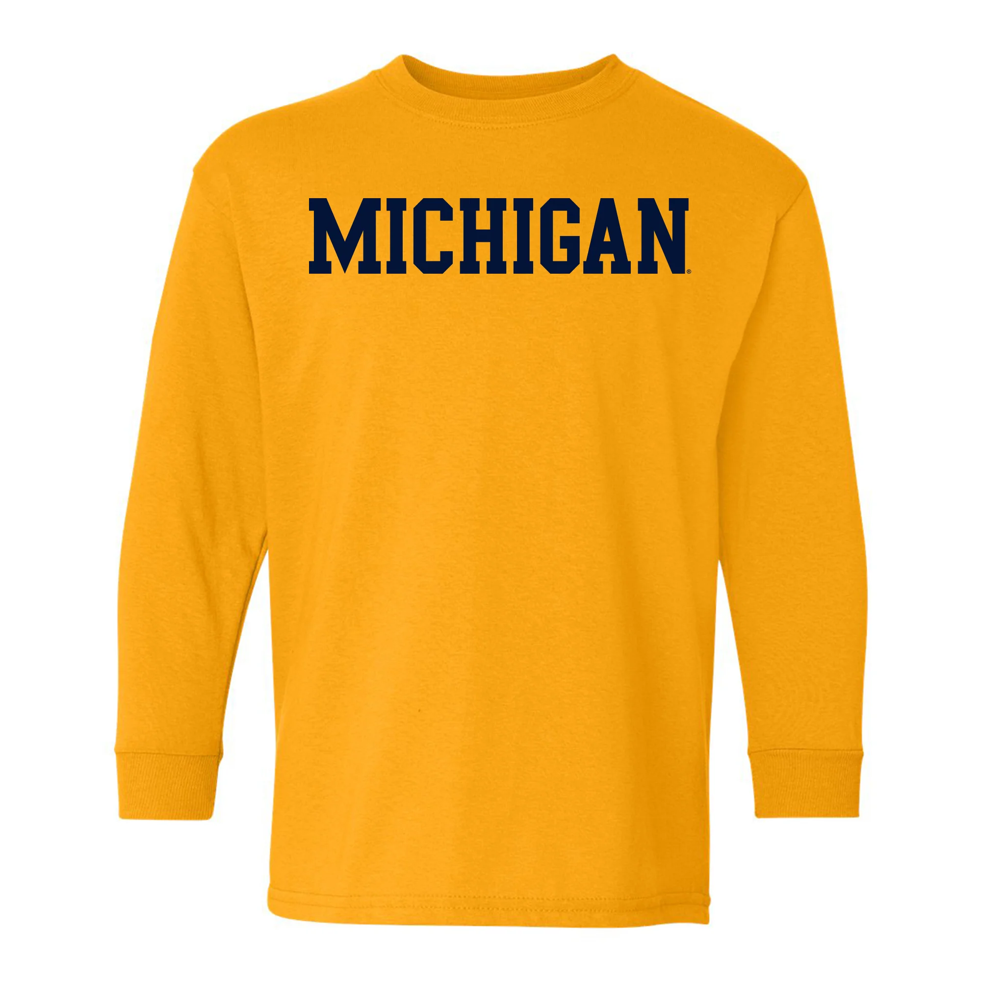 Michigan Basic Block Youth Long Sleeve - Image 2
