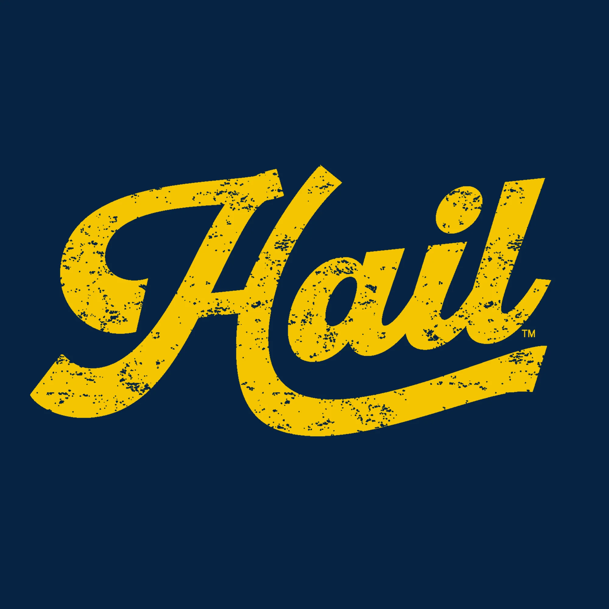 Michigan Hail Script JA BTB Fleece Hoodie - True Navy - Image 2