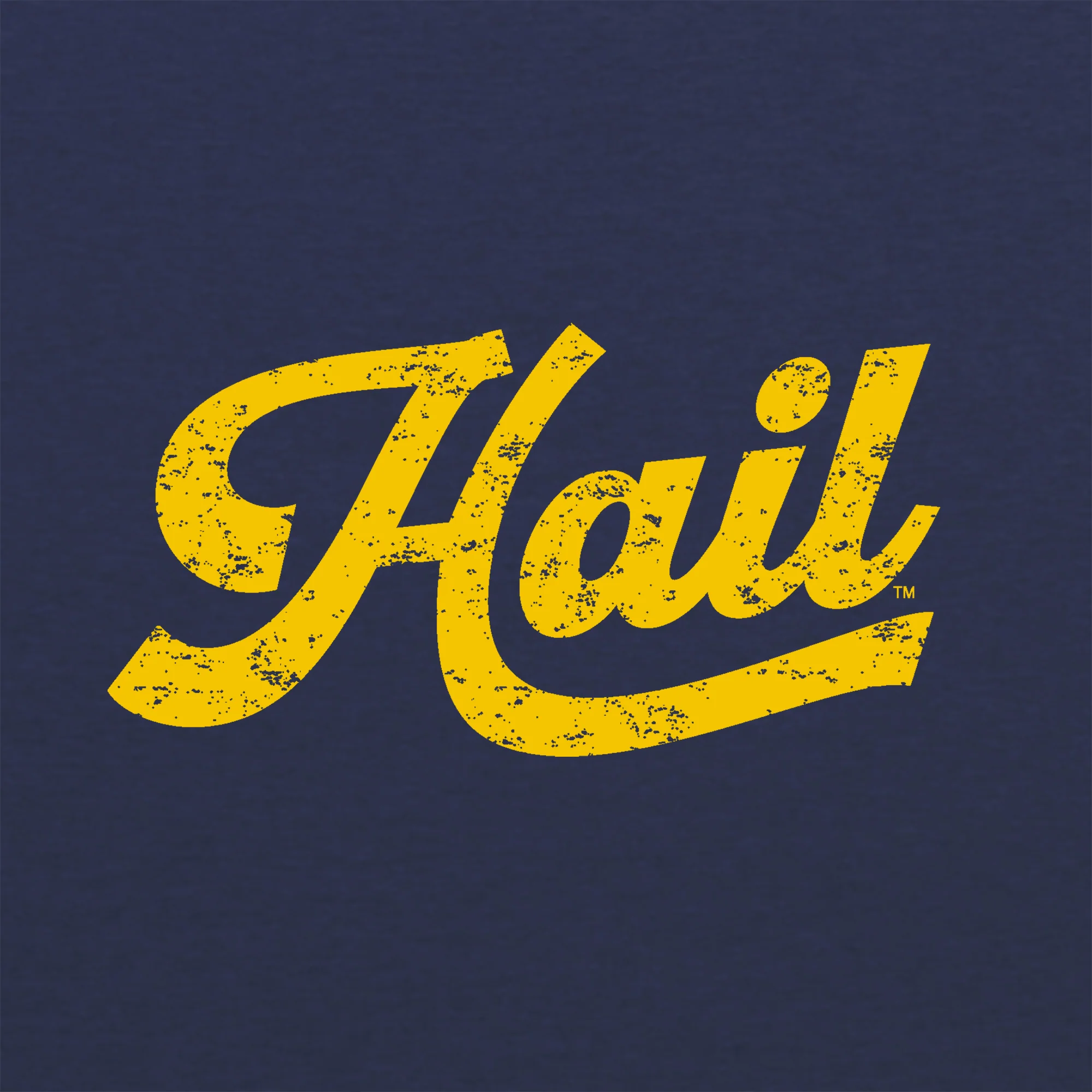 Michigan Hail Script NLA Triblend T-Shirt - Image 3