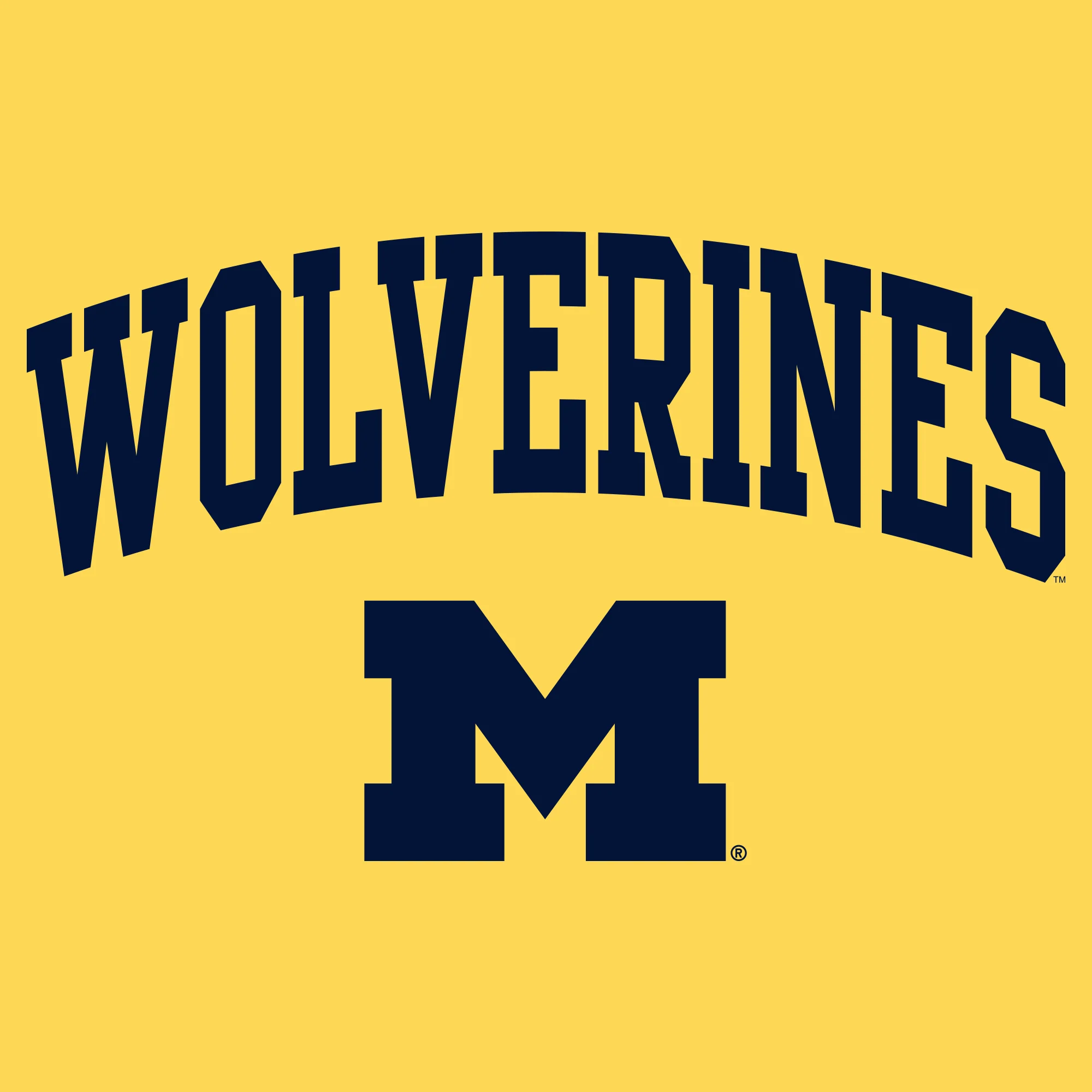 Michigan Mascot Arch Logo T Shirt - Image 6