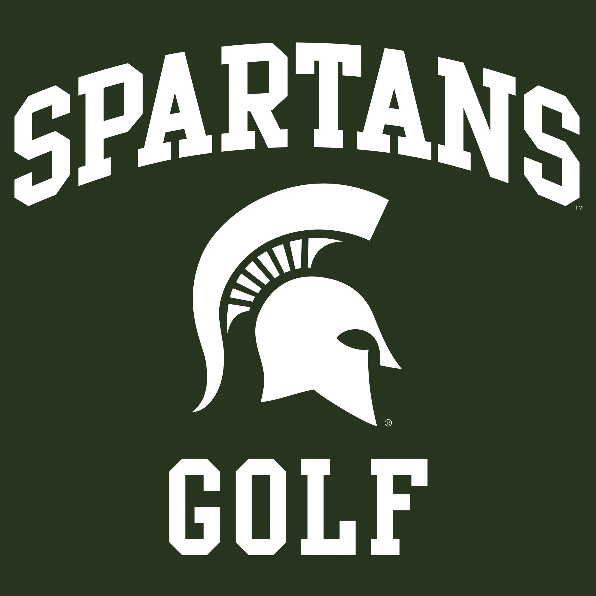 Michigan State University Spartans Arch Logo Golf Hoodie - Forest - Image 2
