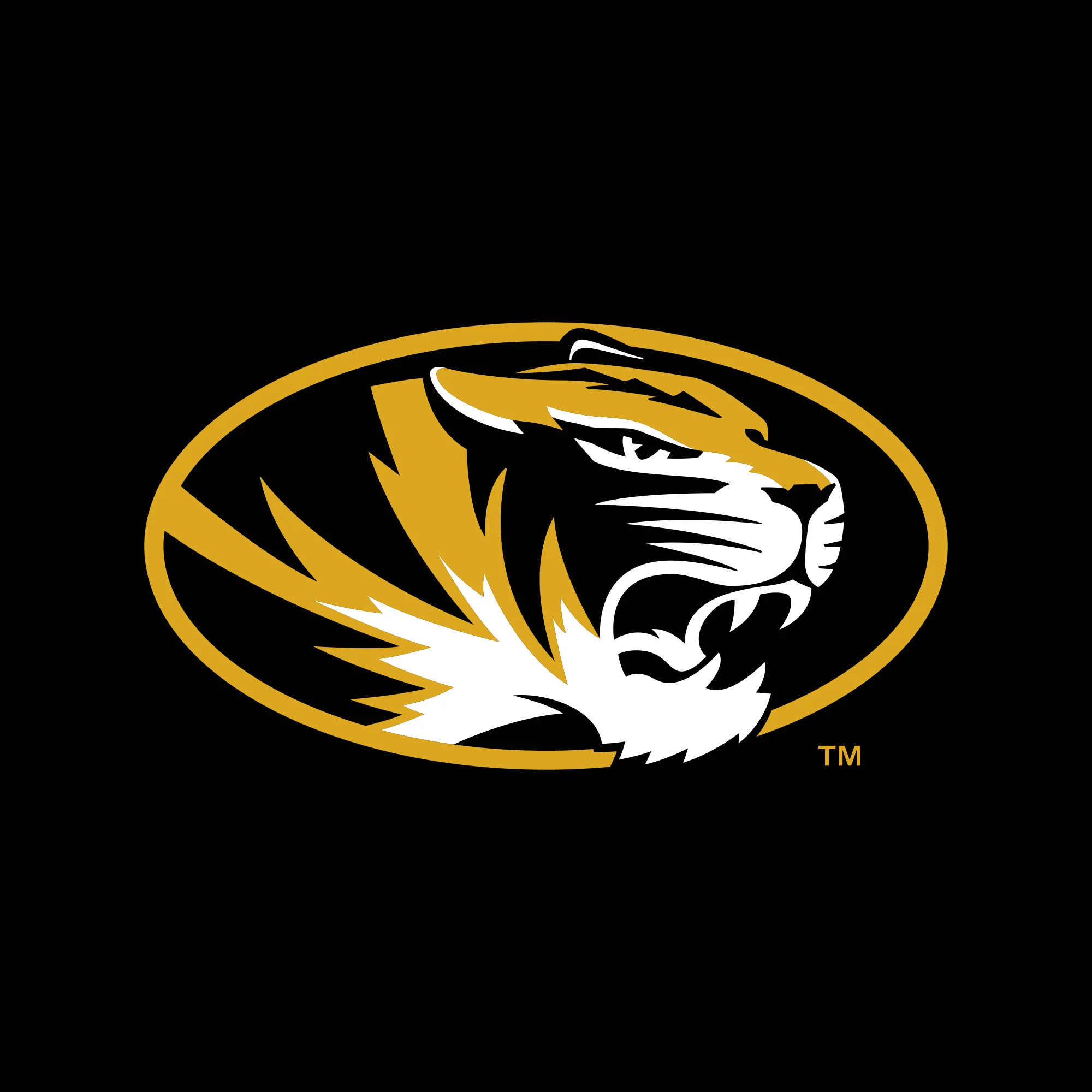 Missouri Tigers Primary Logo JA BTB Sweatpants - Black - Image 2