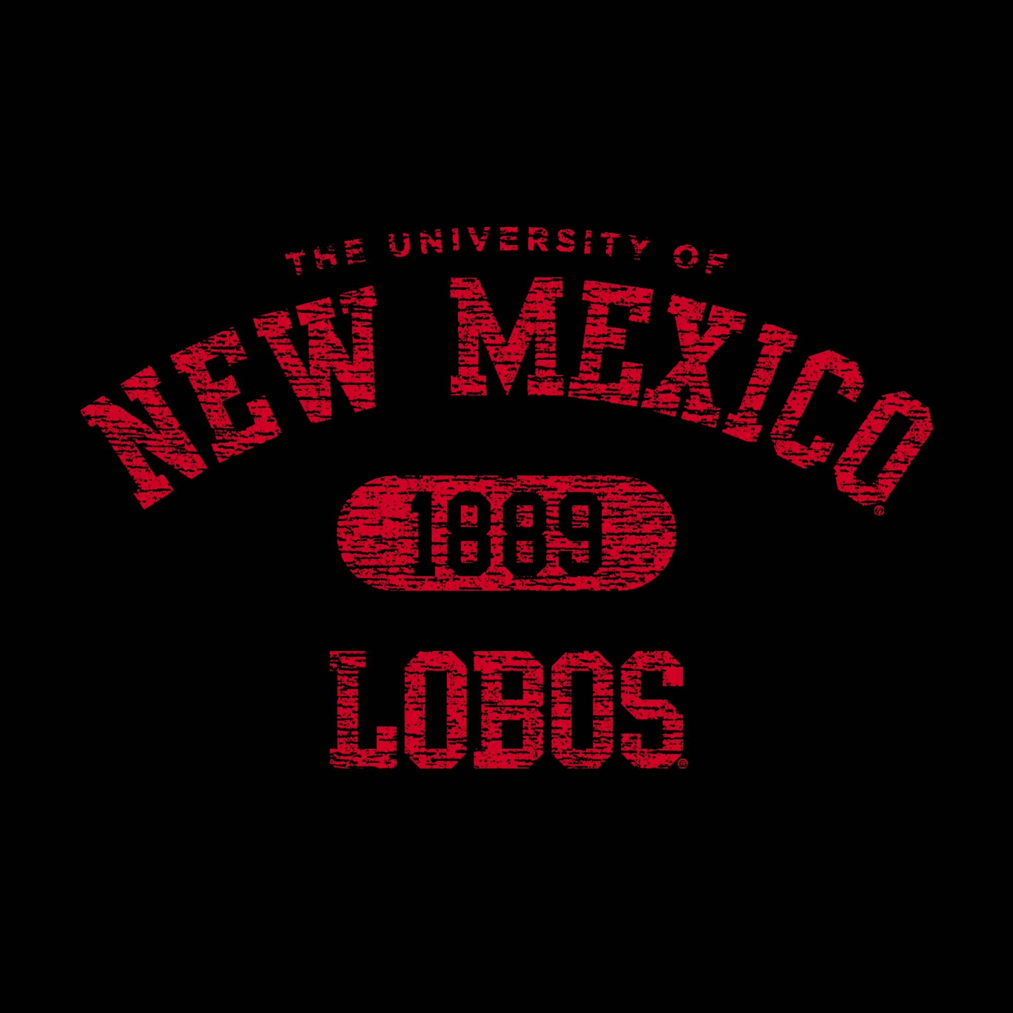 New Mexico Athletic Arch Hoodie - Black - Image 2