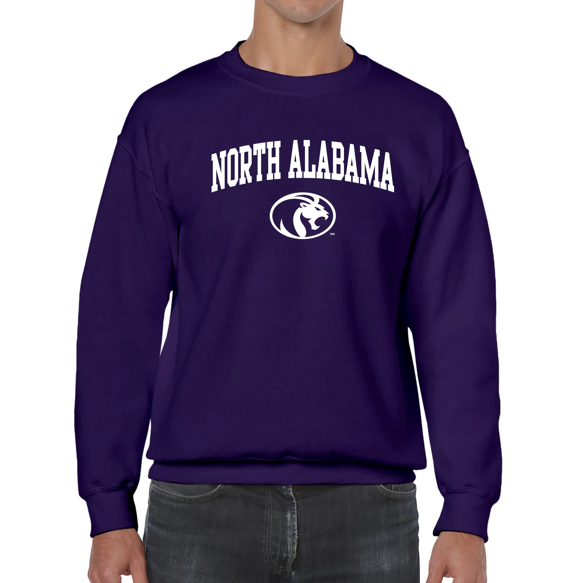 North Alabama Arch Logo Crewneck - Purple - Image 3