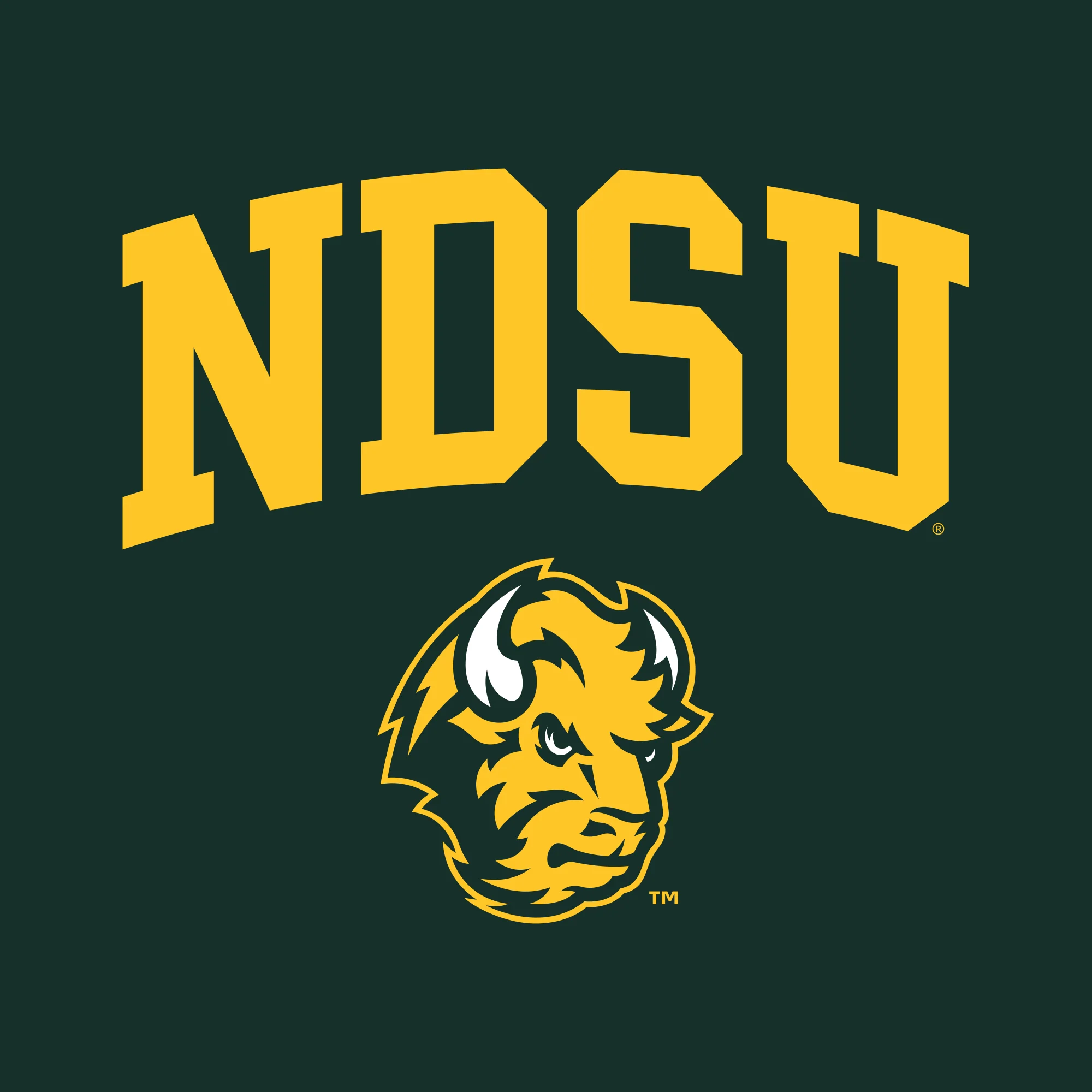 North Dakota State University Bison Arch Logo Short Sleeve Youth T Shirt - Forest - Image 2