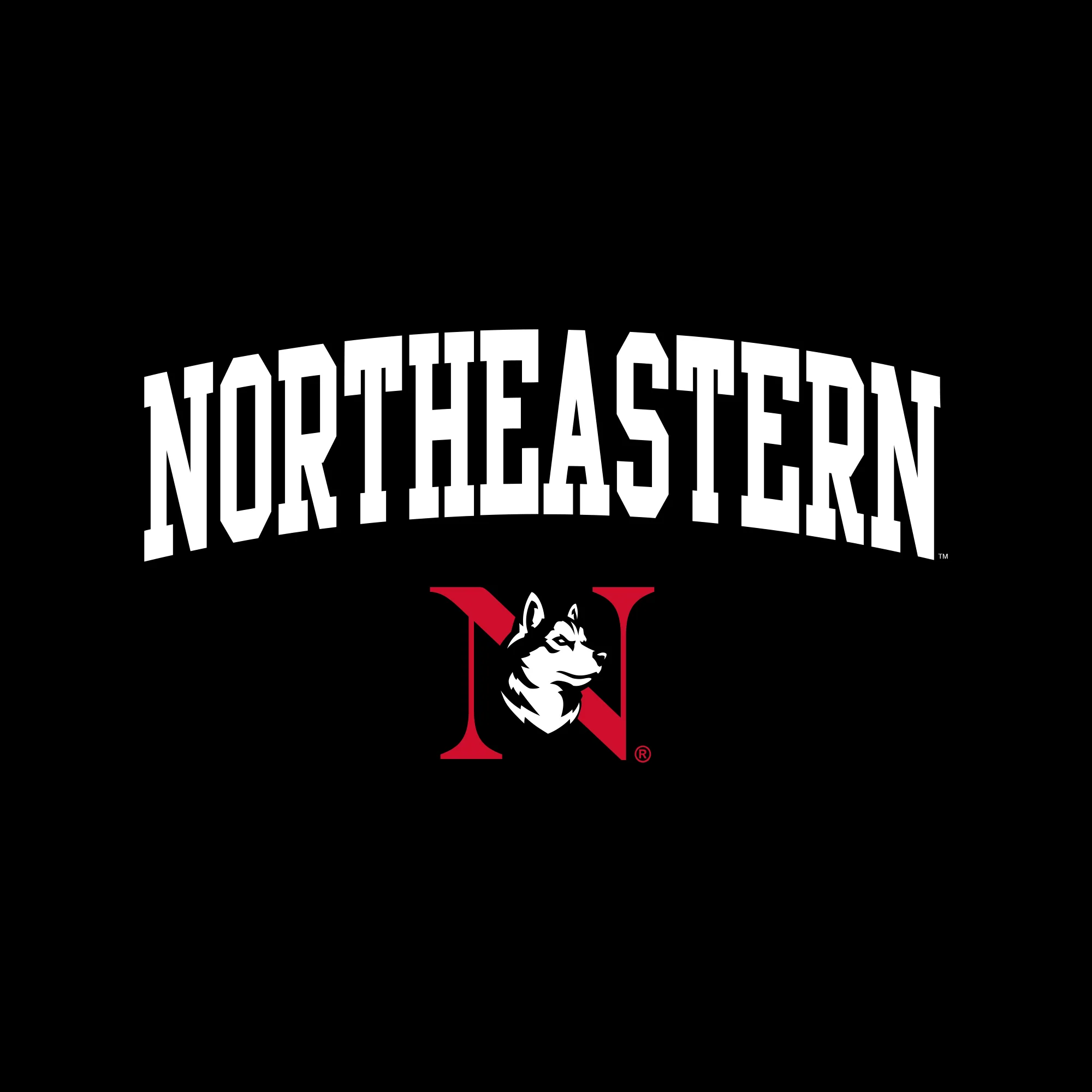 Northeastern University Arch Logo Womens T-Shirt - Image 5