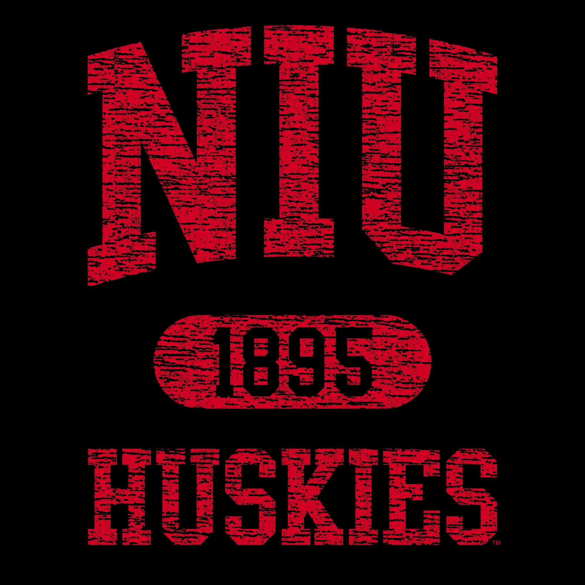 Northern Illinois Athletic Arch Hoodie - Black - Image 2