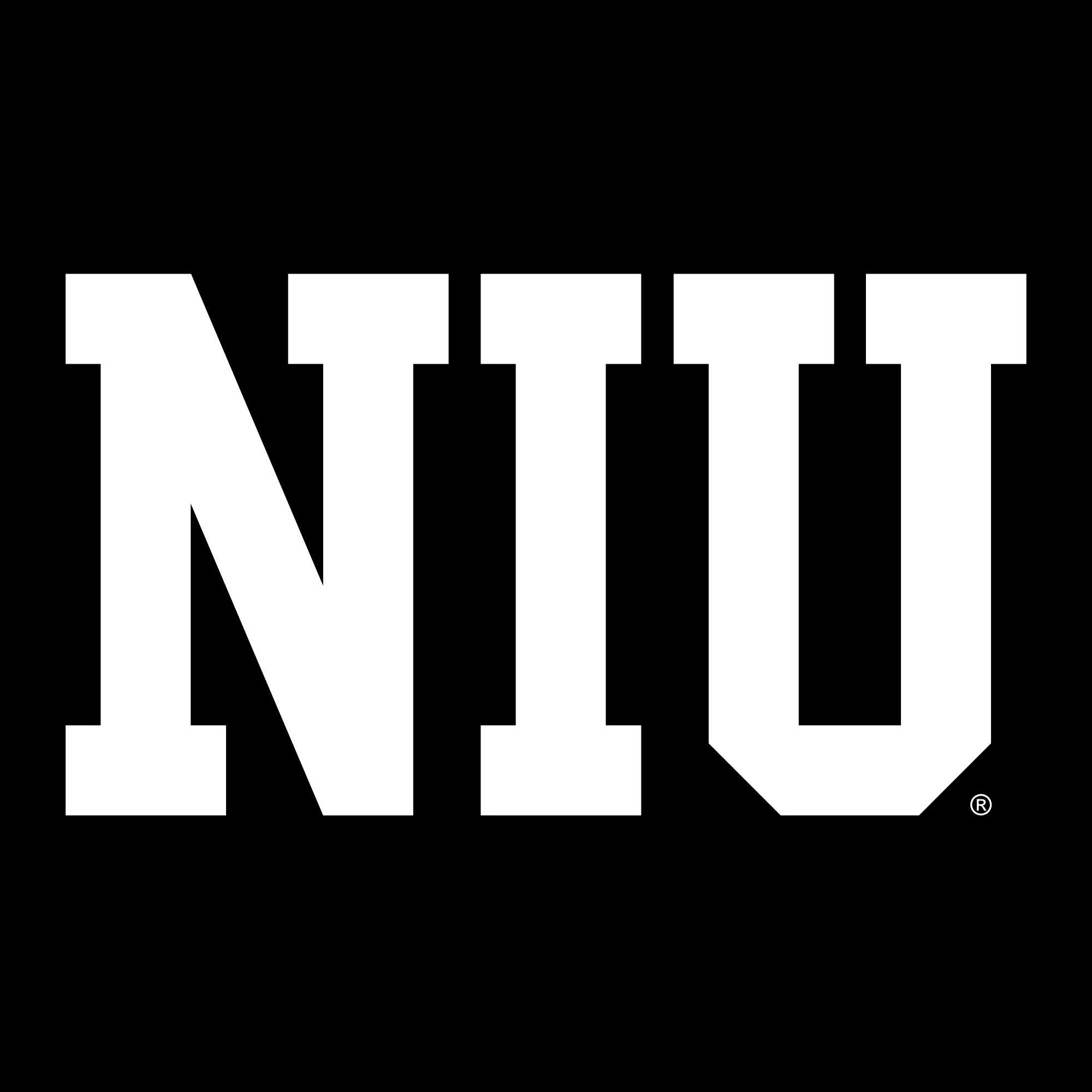 Northern Illinois Basic Block Hoodie - Black - Image 2