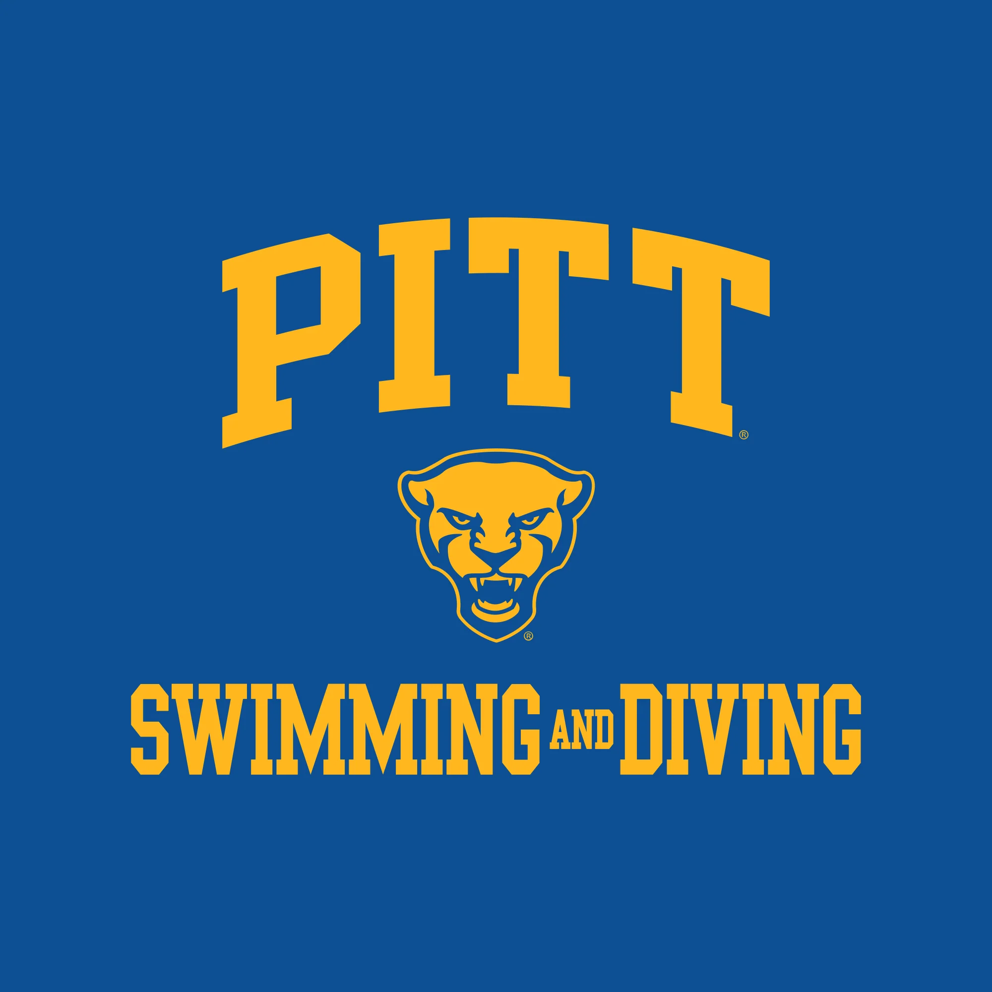 Pittsburgh Arch Logo Swimming & Diving Hoodie - Royal - Image 2