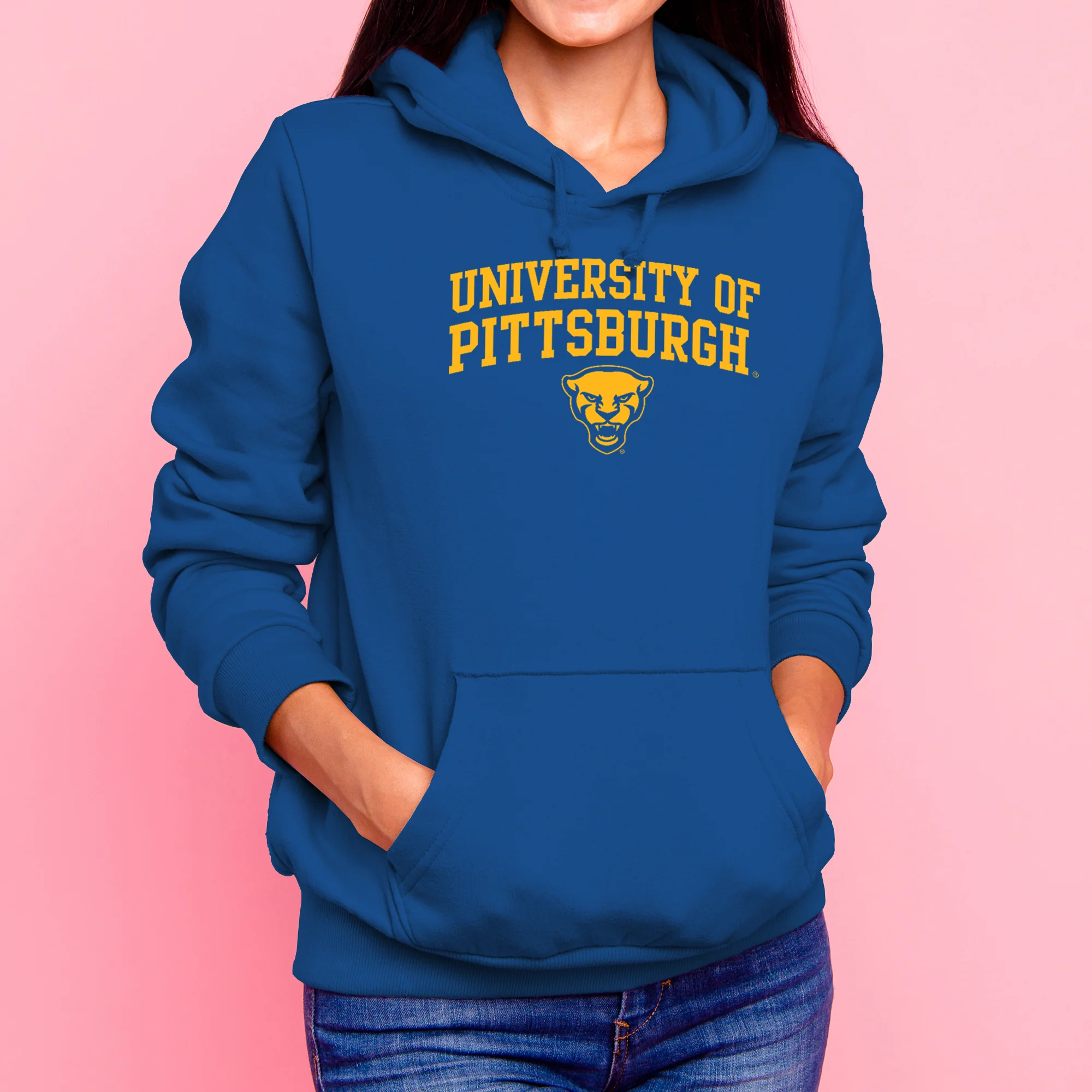 Pittsburgh Panthers Arch Logo Hoodie - Royal - Image 3