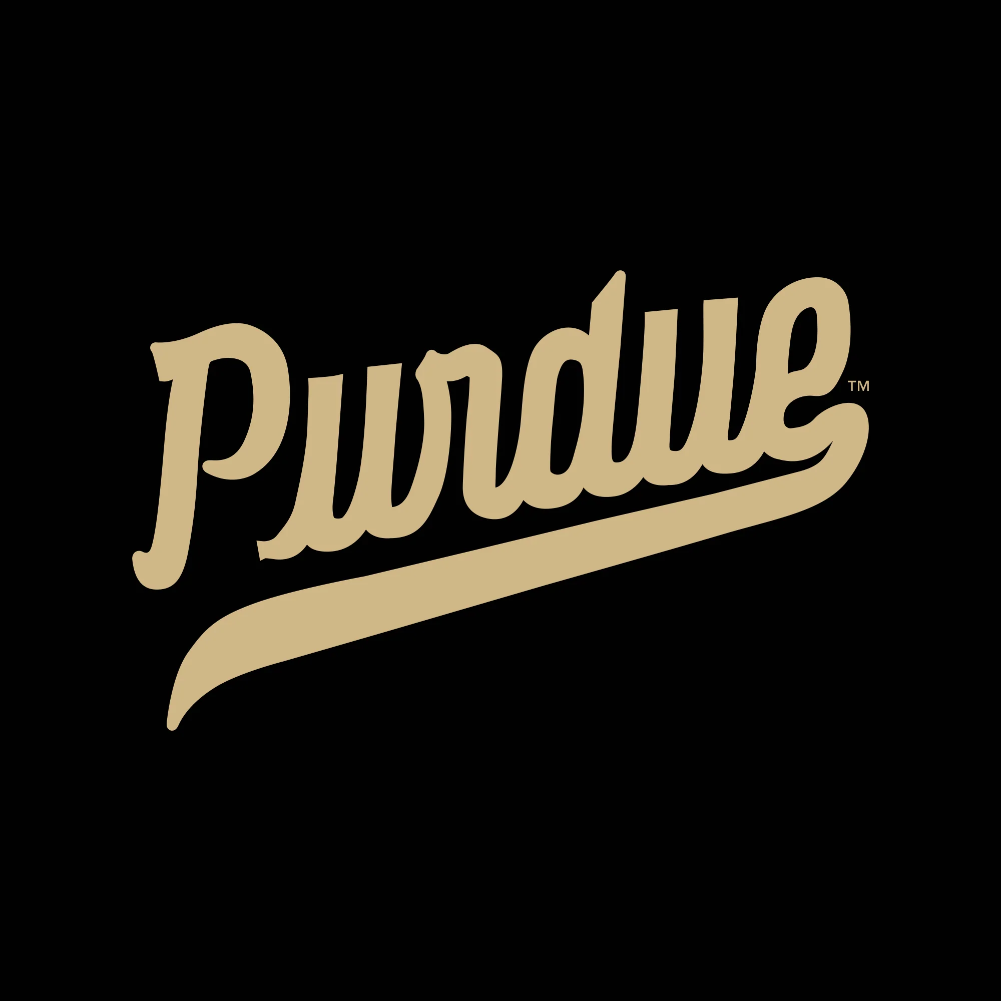 Purdue Script Mark JA BTB Hoodie - Image 3