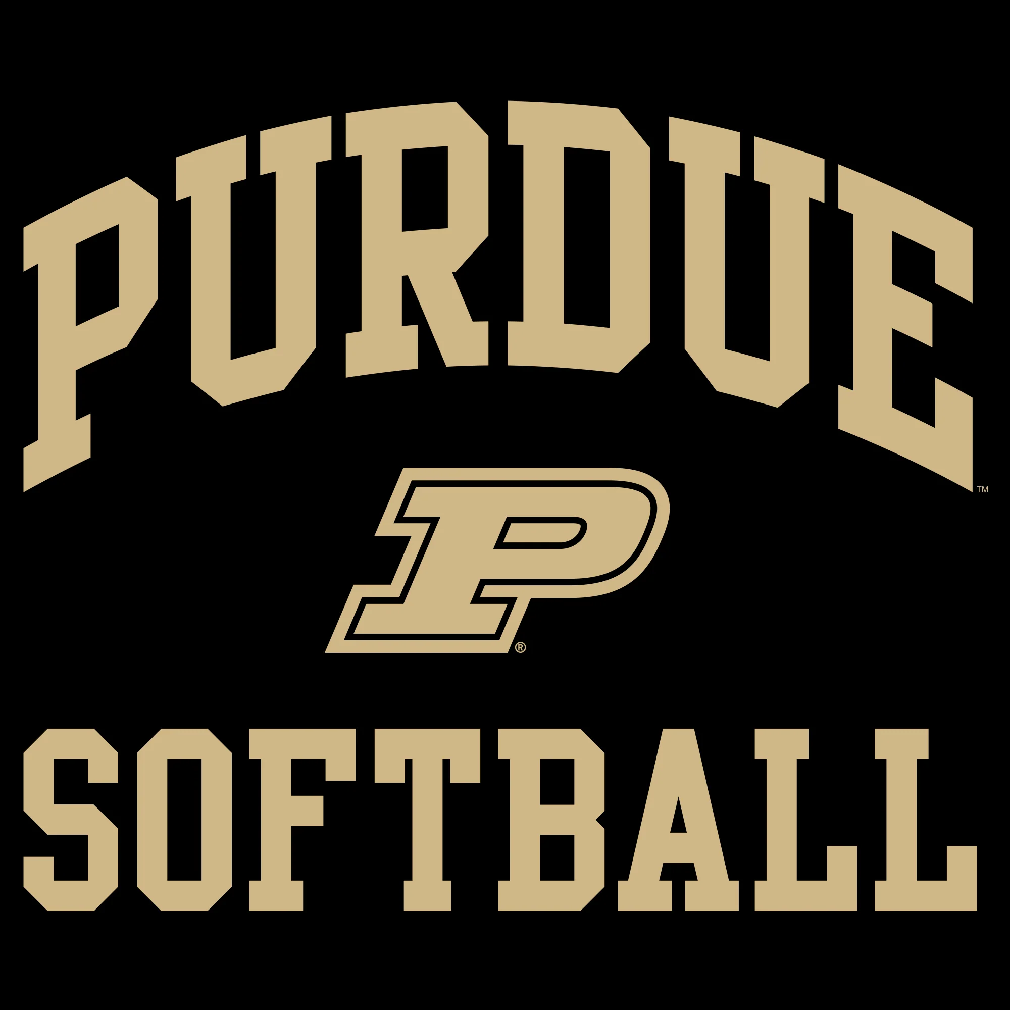 Purdue University Boilermakers Arch Logo Softball Hoodie - Black - Image 2