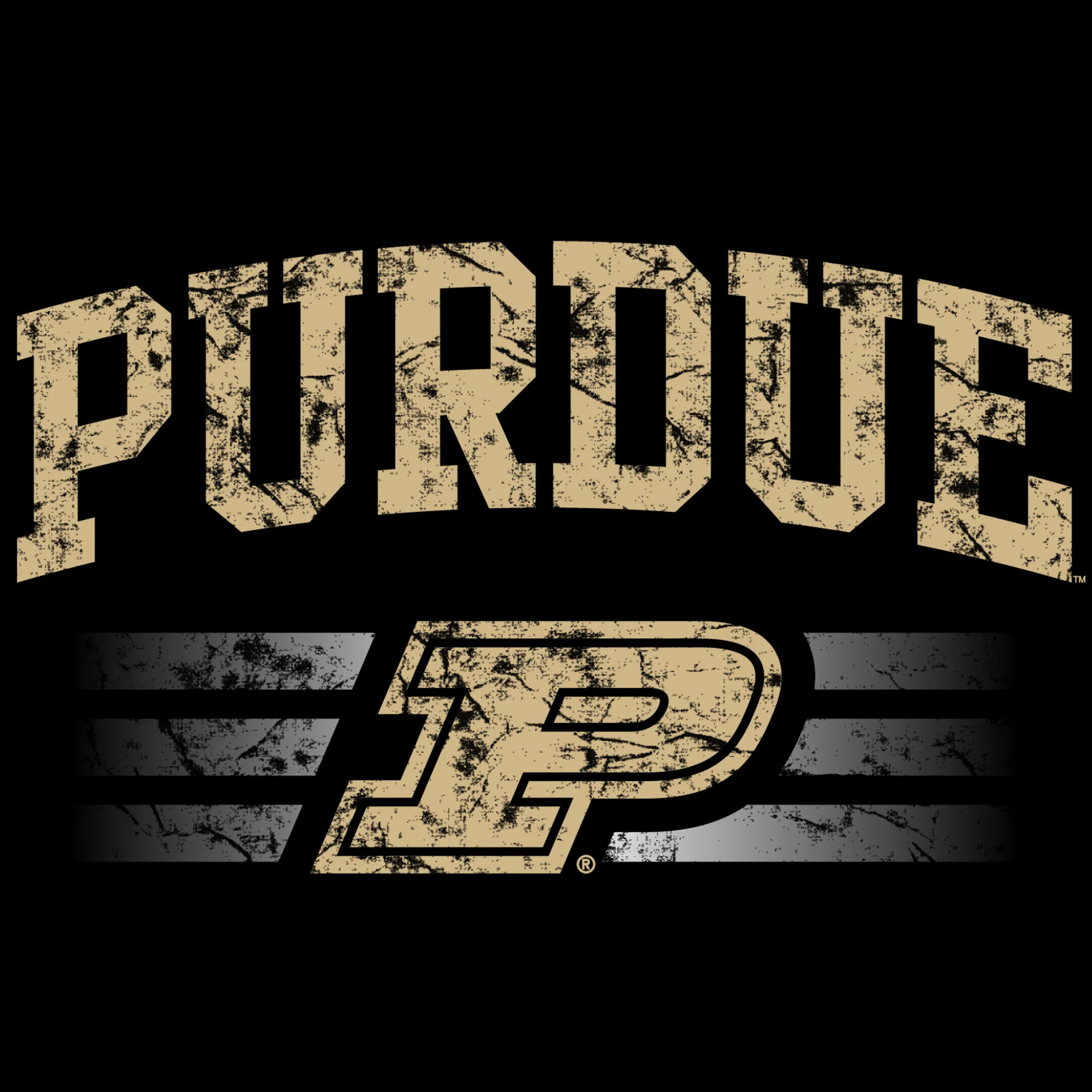 Purdue Dynasty Logo NLA T Shirt - Black - Image 2