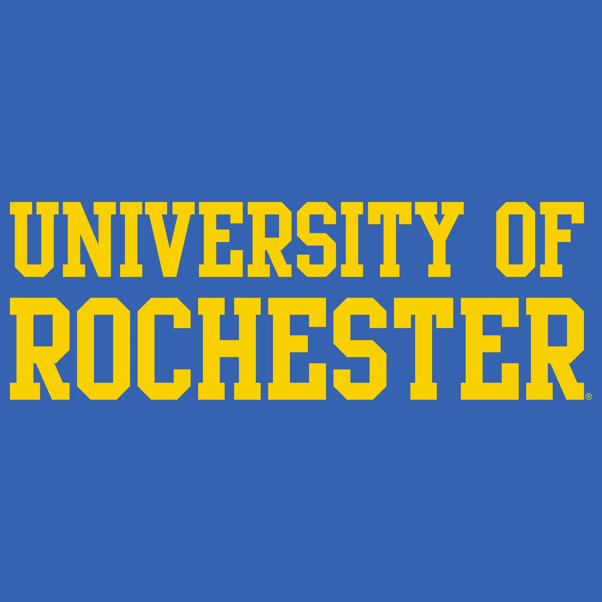 University of Rochester Yellowjackets Basic Block Heavy Blend Hoodie - Royal - Image 2