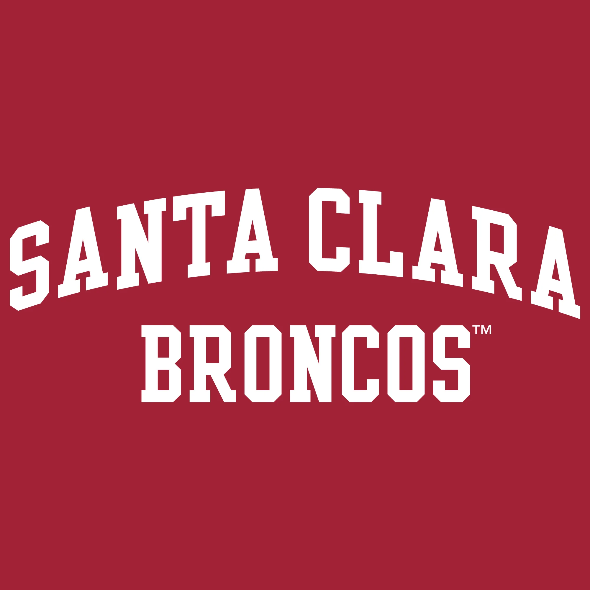 Santa Clara Broncos Arch Logo Hoodie - Image 5