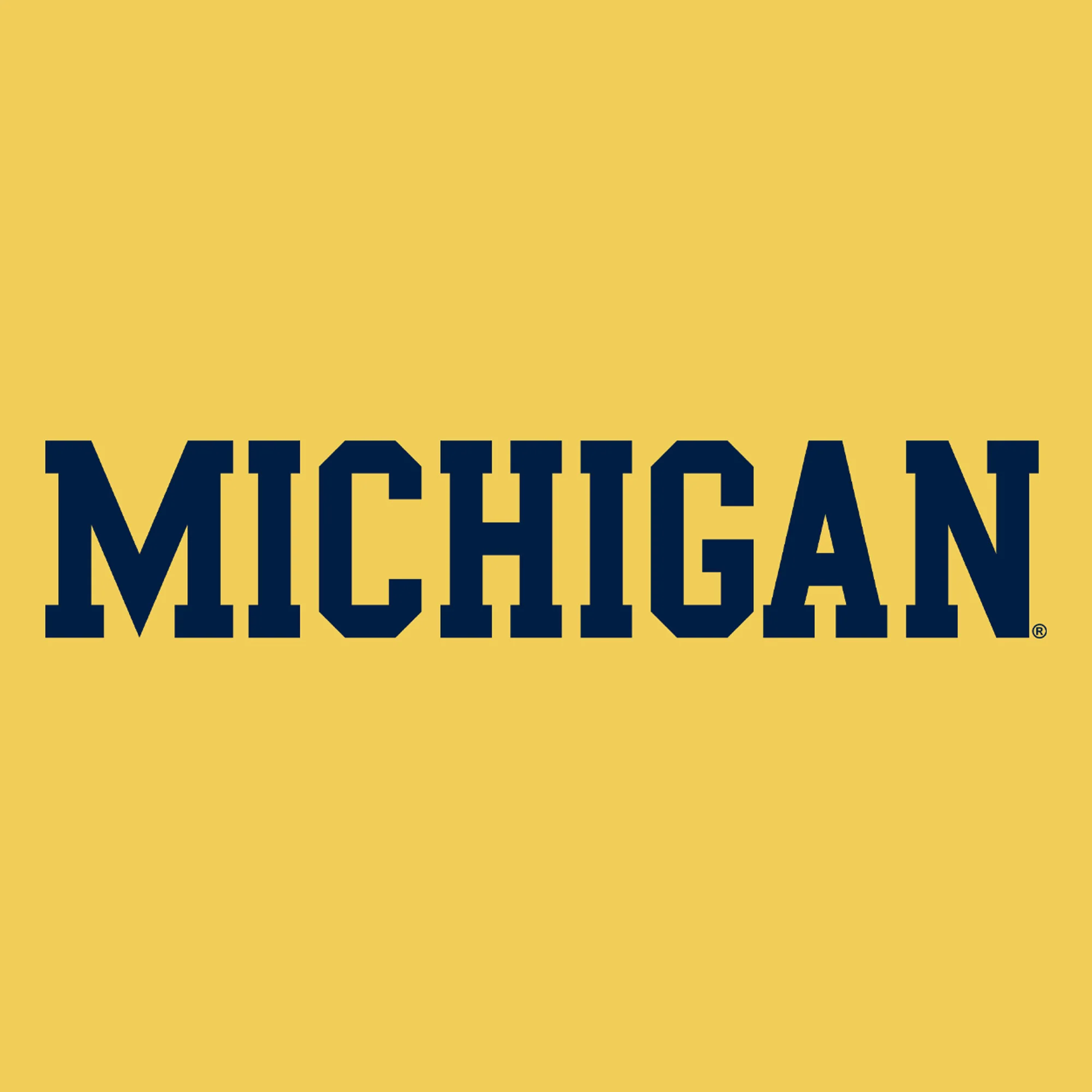 UGP Block Michigan Youth Soft Hoodie - Daisy - Image 2