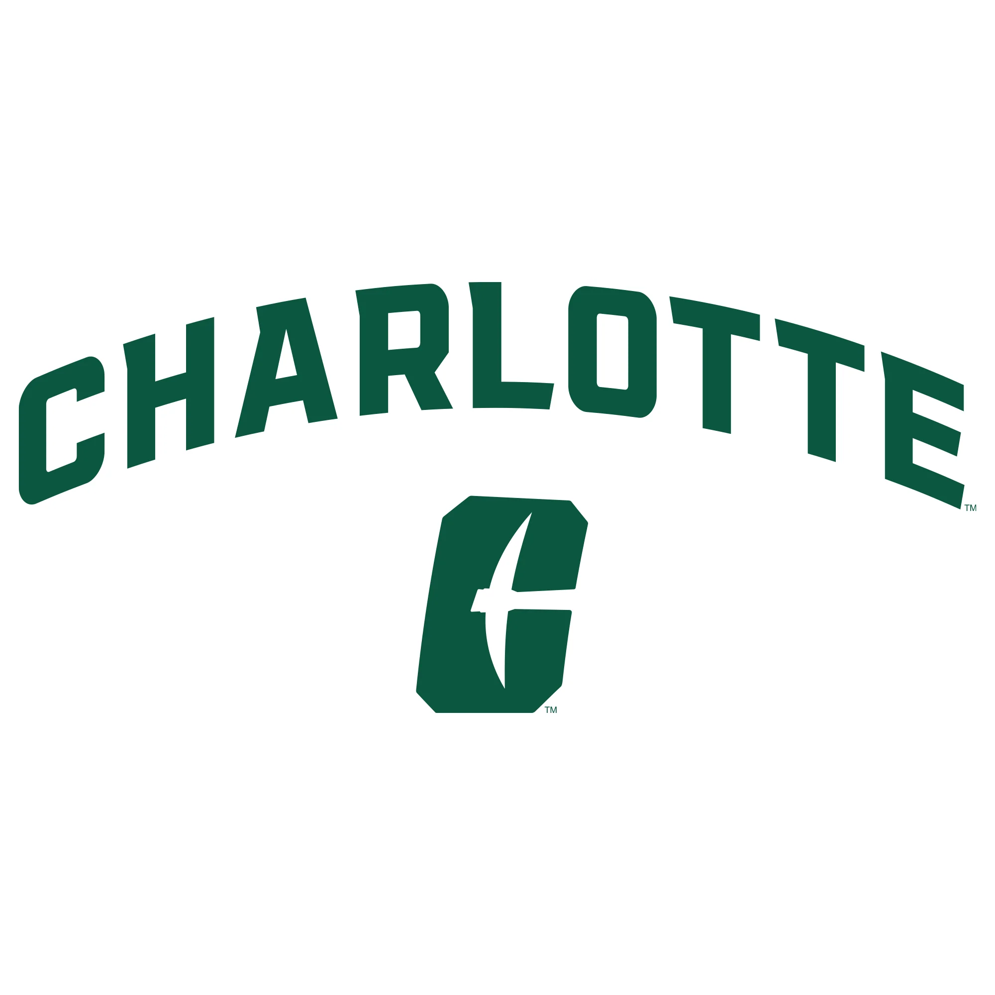 UNC Charlotte Forty-Niners Arch Logo Long Sleeve T Shirt - White - Image 2