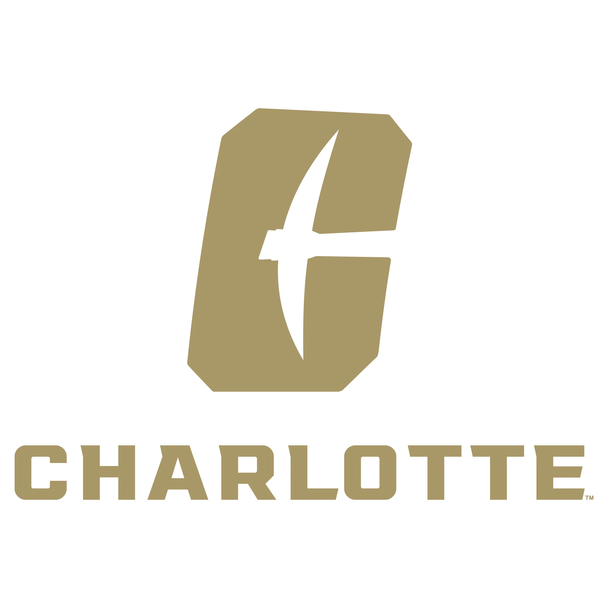 UNC Charlotte Forty-Niners Primary Logo Youth Short Sleeve T Shirt - White - Image 2
