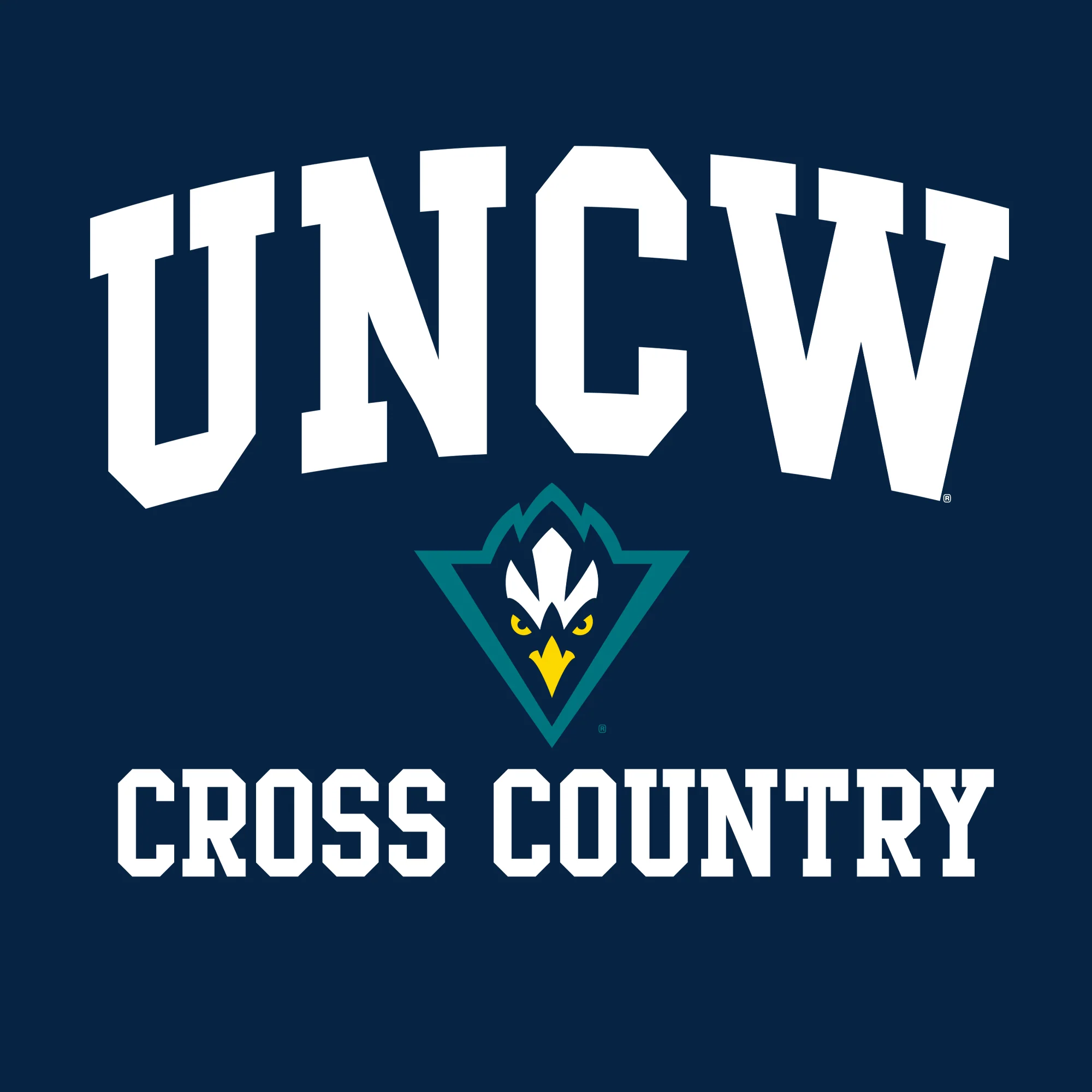 UNC Wilmington Seahawks Arch Logo Cross Country Hoodie - Navy - Image 2